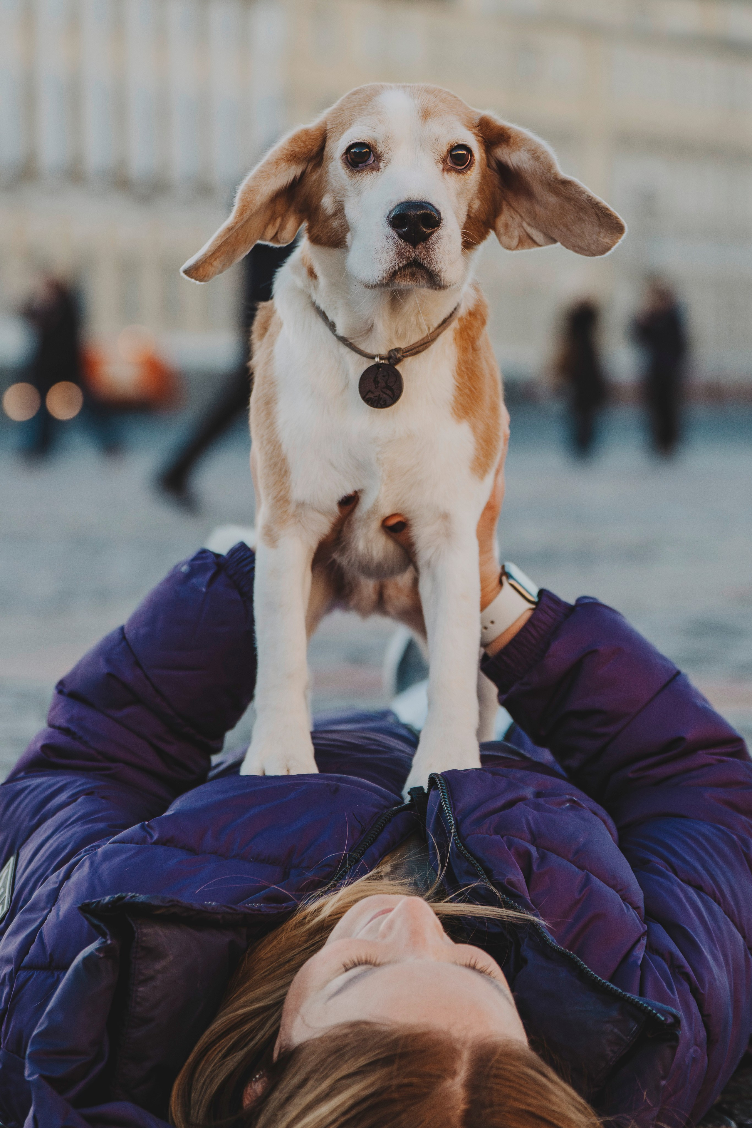 Ксения и Гаечка. Фотограф анималист в Спб недорого Олеся Майорова