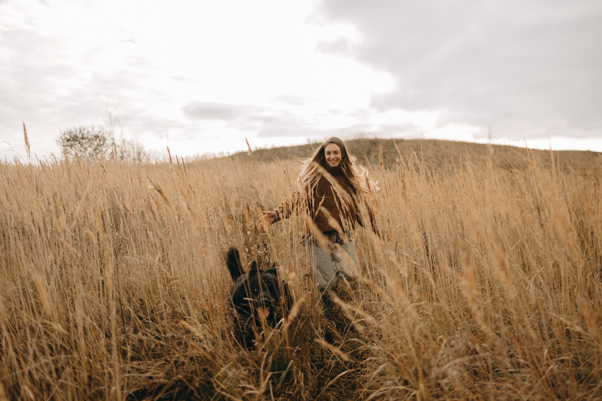 Лора и Джанго. Фотограф — Анималист | Санкт-Петербург