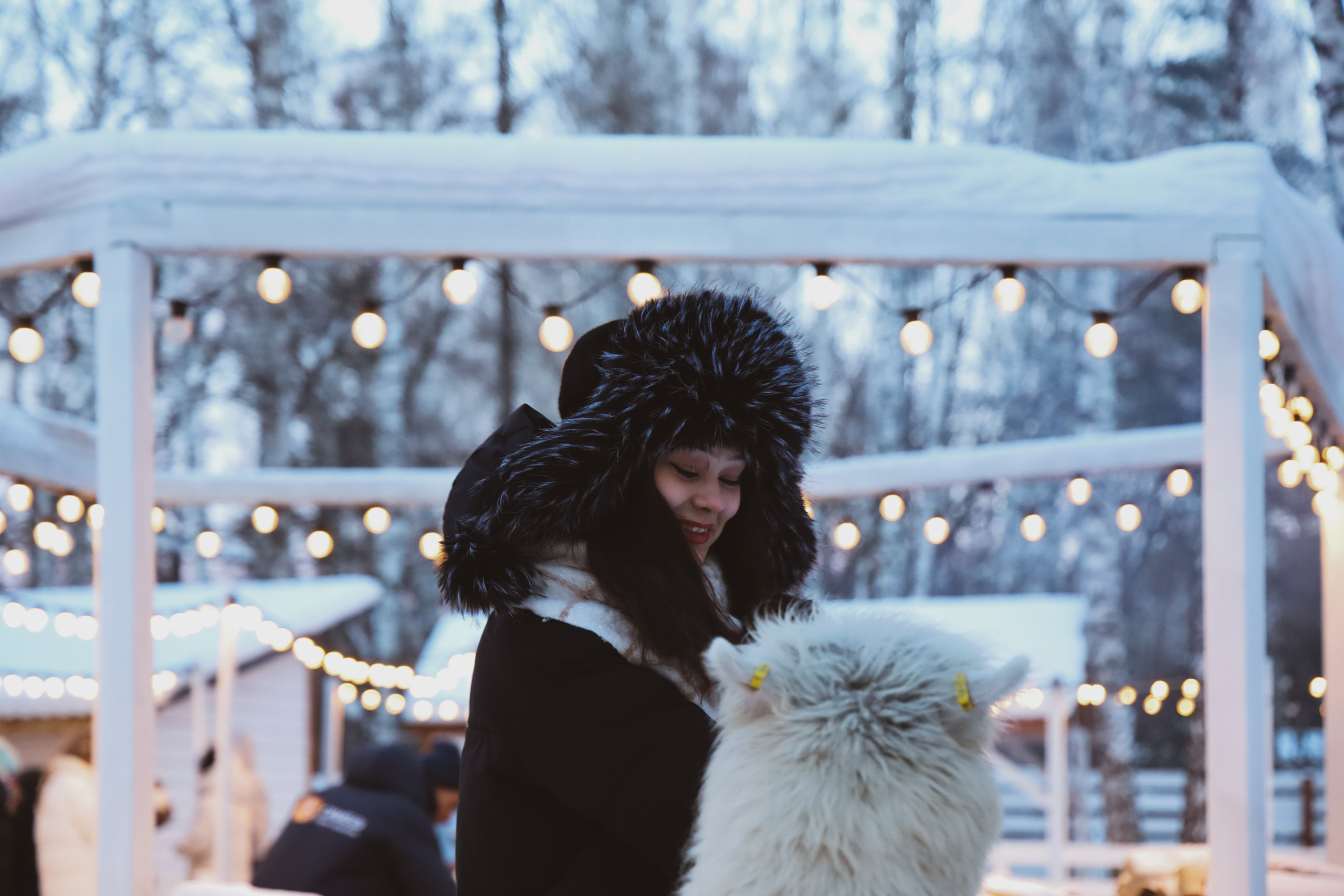 Alpaca park. Фотограф/дизайнер в Екатеринбурге Хитрый Дмитрий