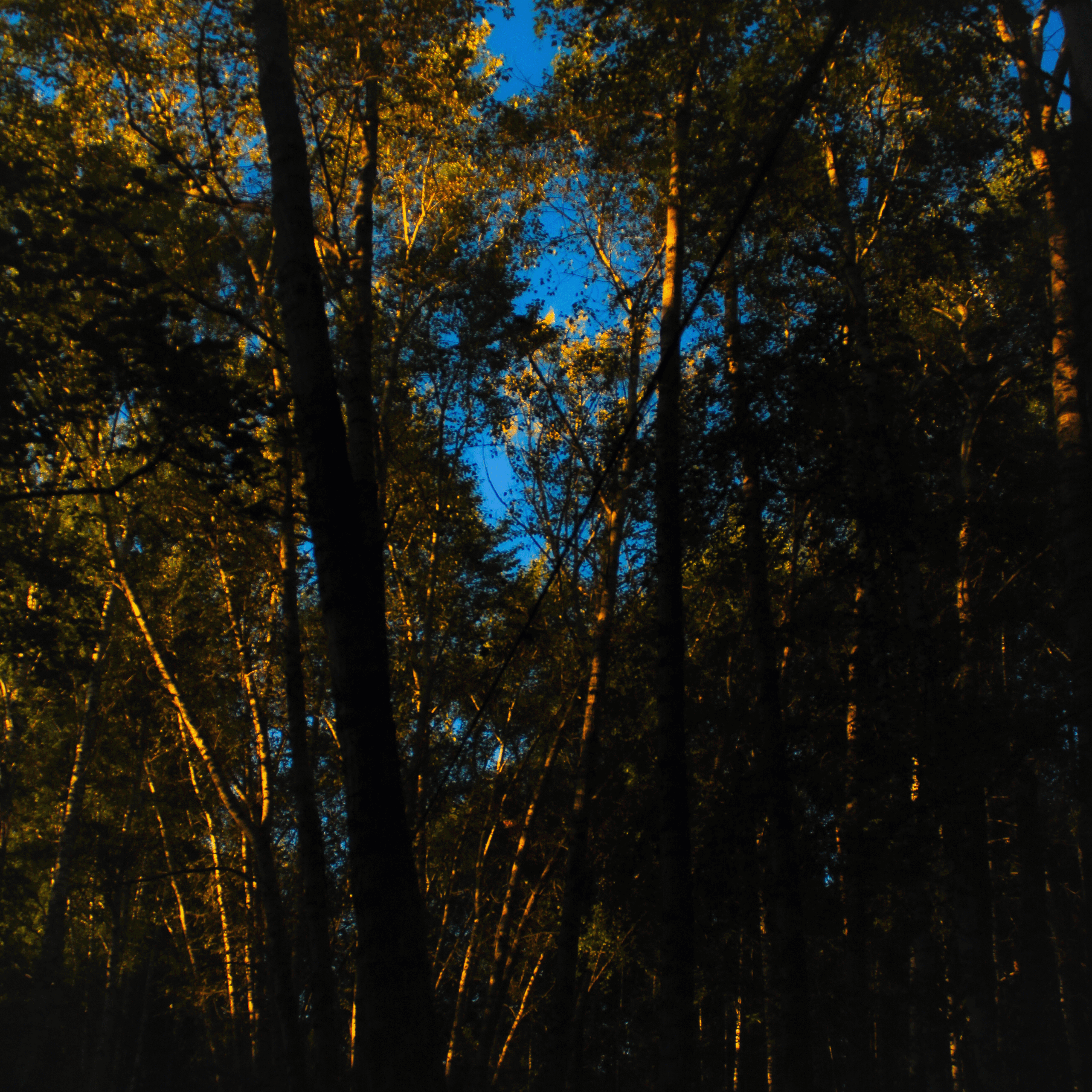 Summertime. Фотограф/дизайнер в Екатеринбурге Хитрый Дмитрий