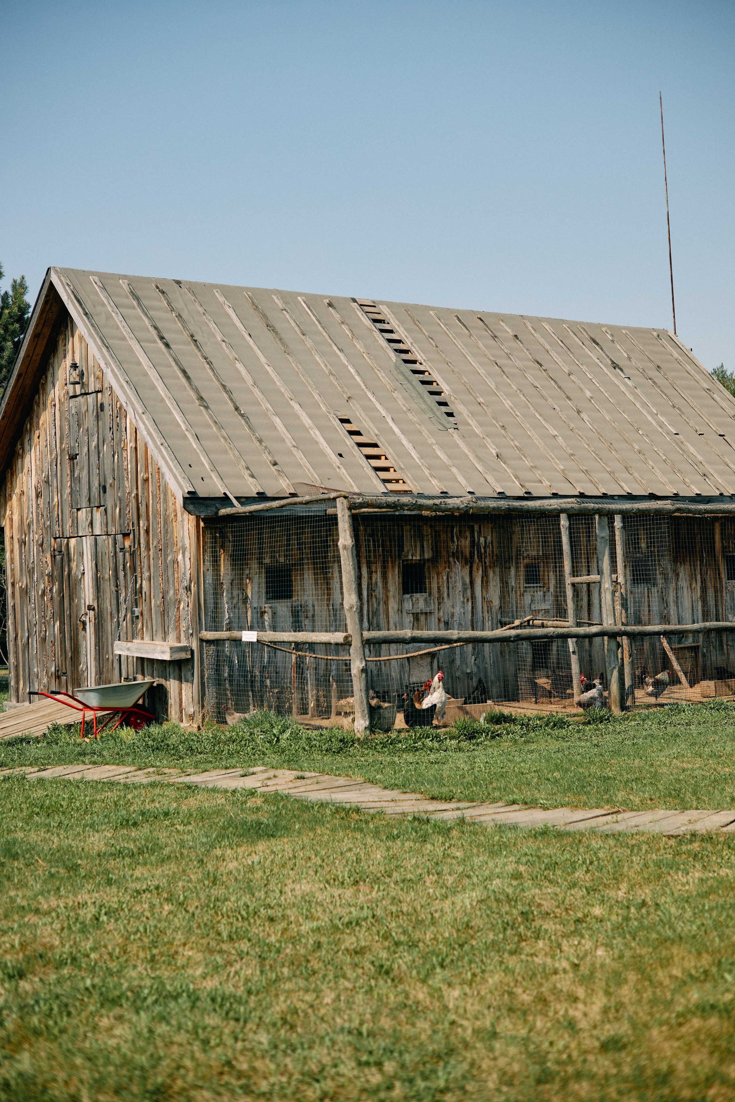 Бутик-отель Поле летом. Профессиональный Фотограф во Владимире, в Москве и в Суздале — Полина Романычева