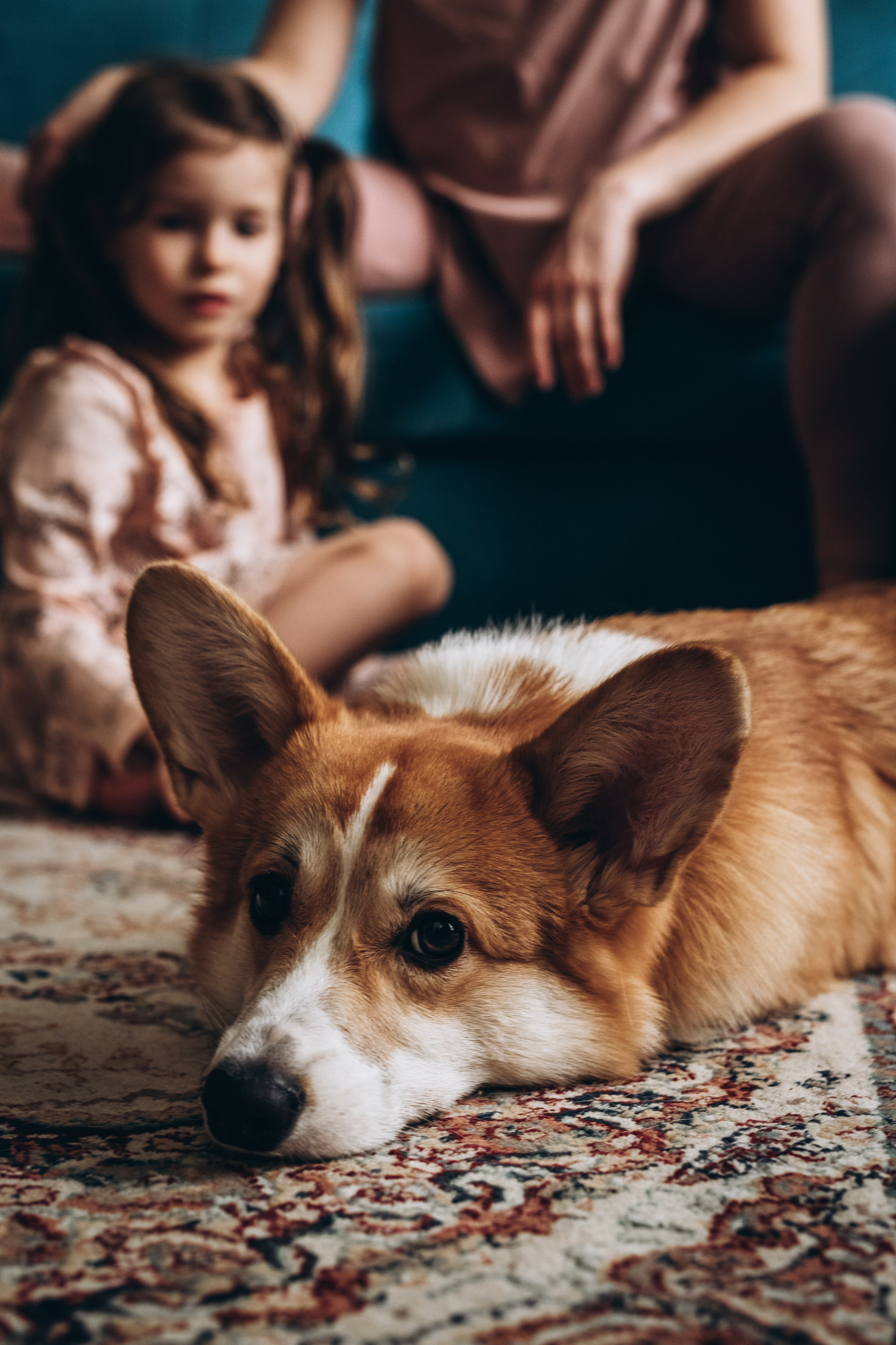 2. Семейный и женский фотограф в Санкт-Петербурге Климова Светлана