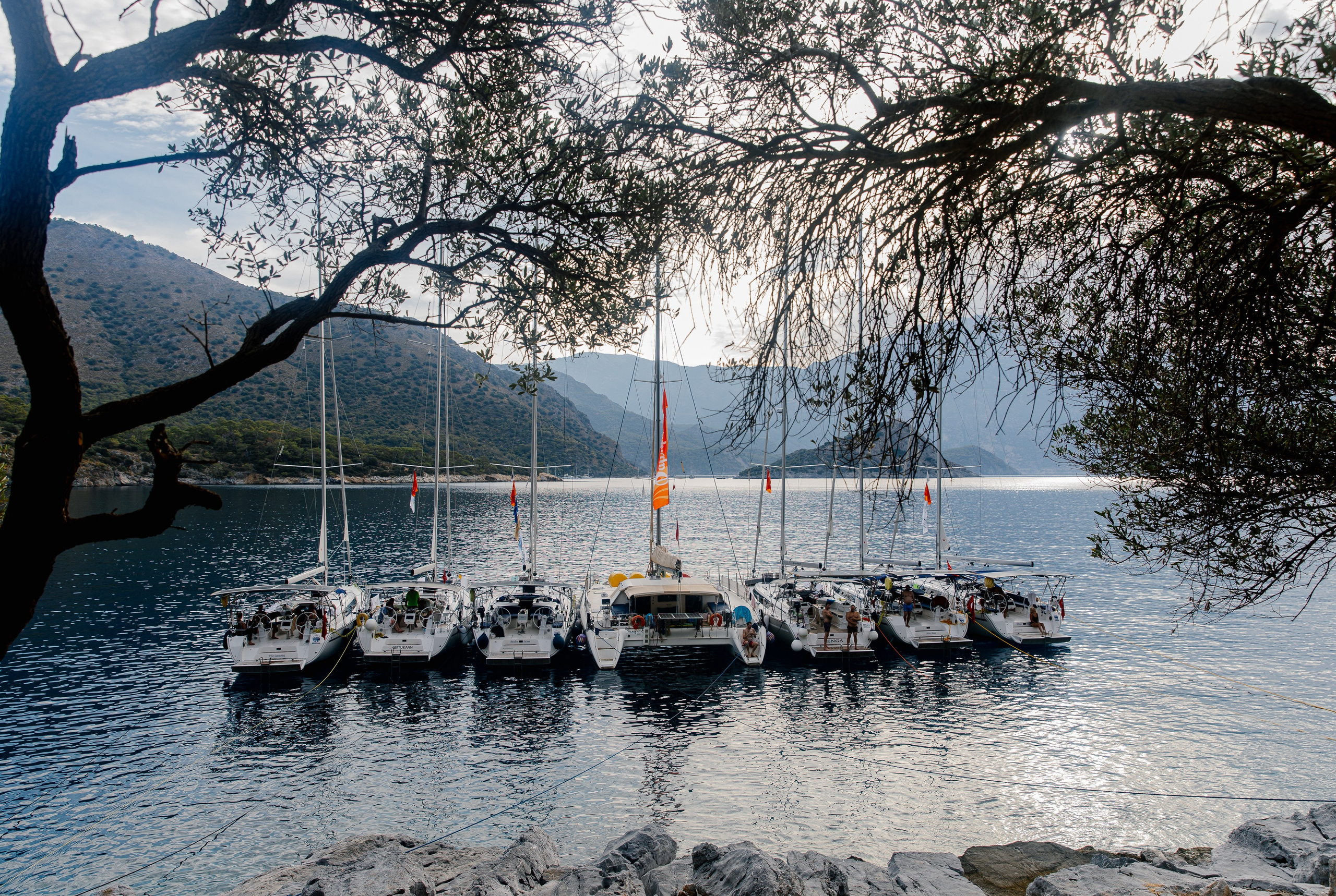 Фармрегата. Свадебный фотограф Москва Анна Шилова