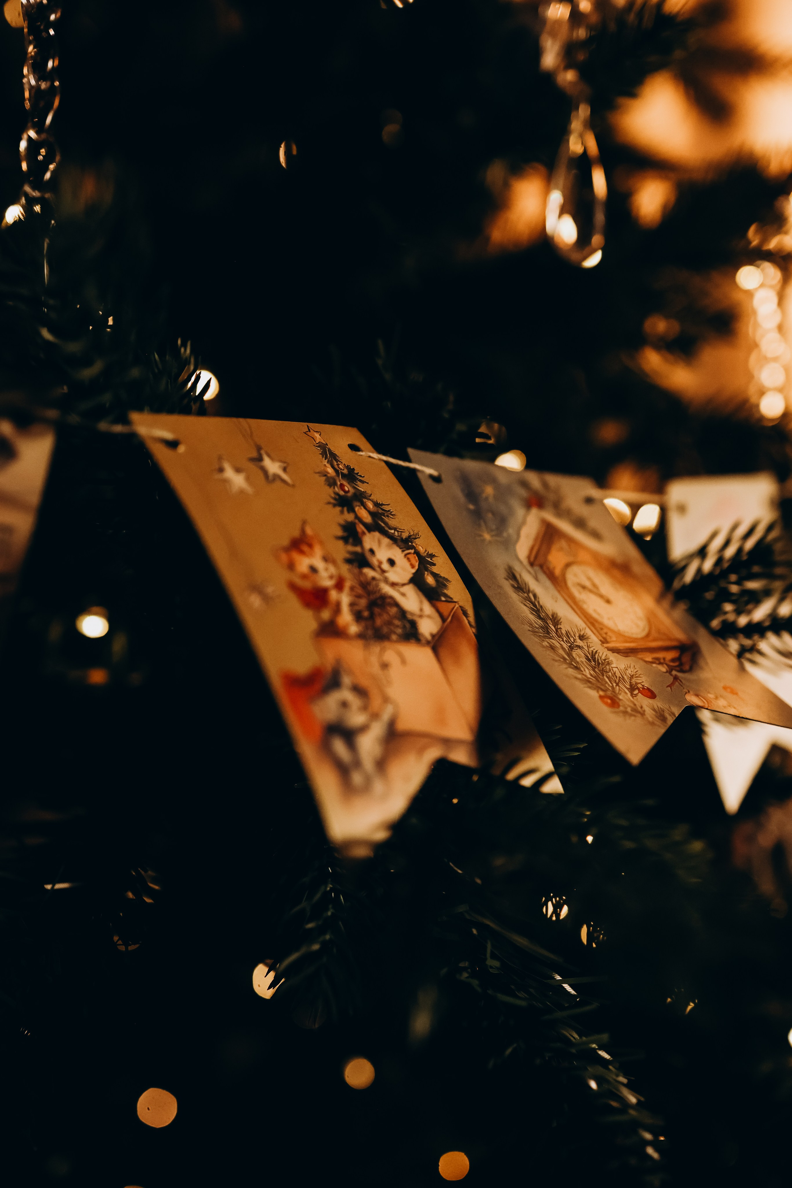 Мария и Надюшка. Свадебный и семейный фотограф в Воронеже Ксения Воротникова