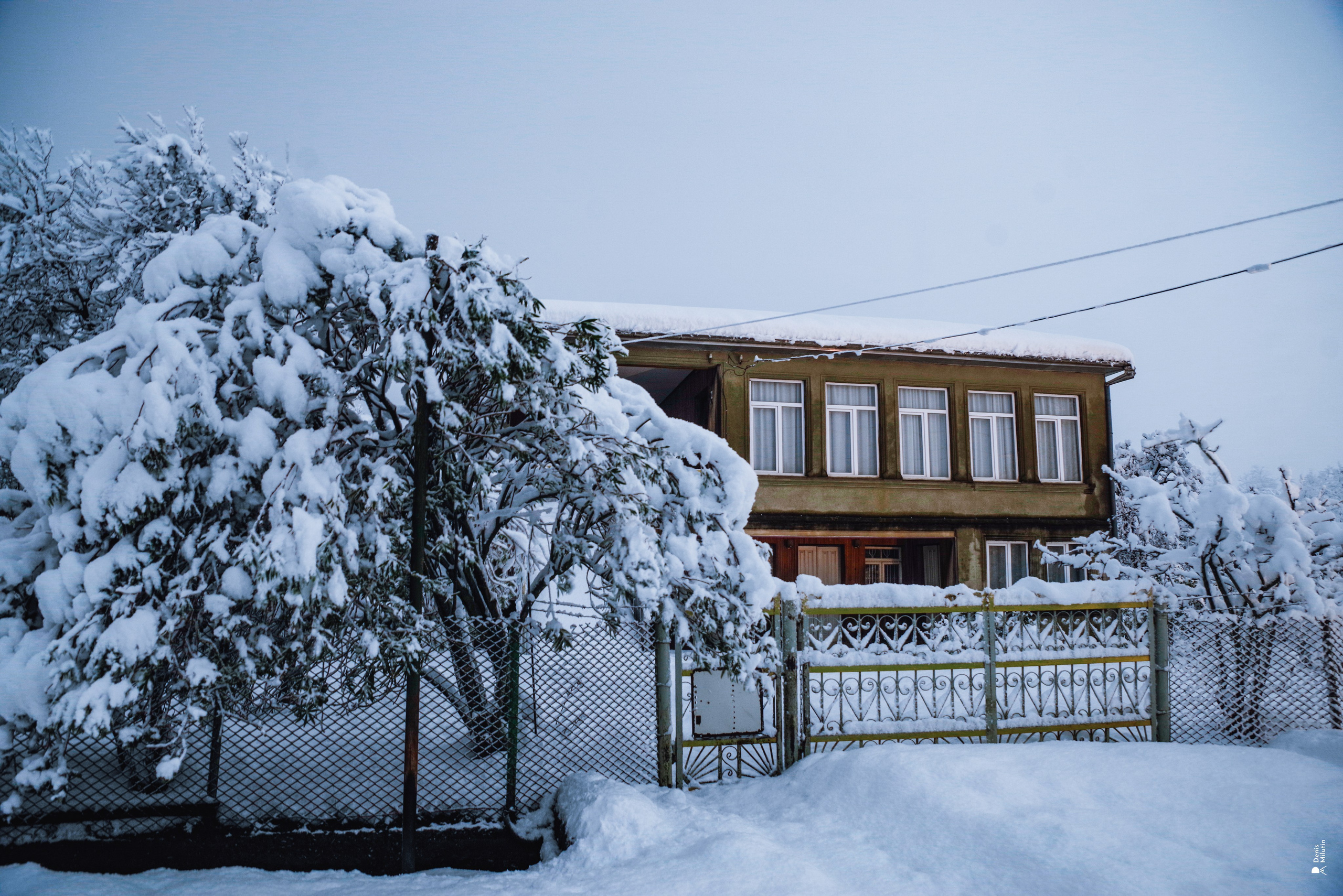 Спящий Менджи зимой. Портретный фотограф Денис Милютин