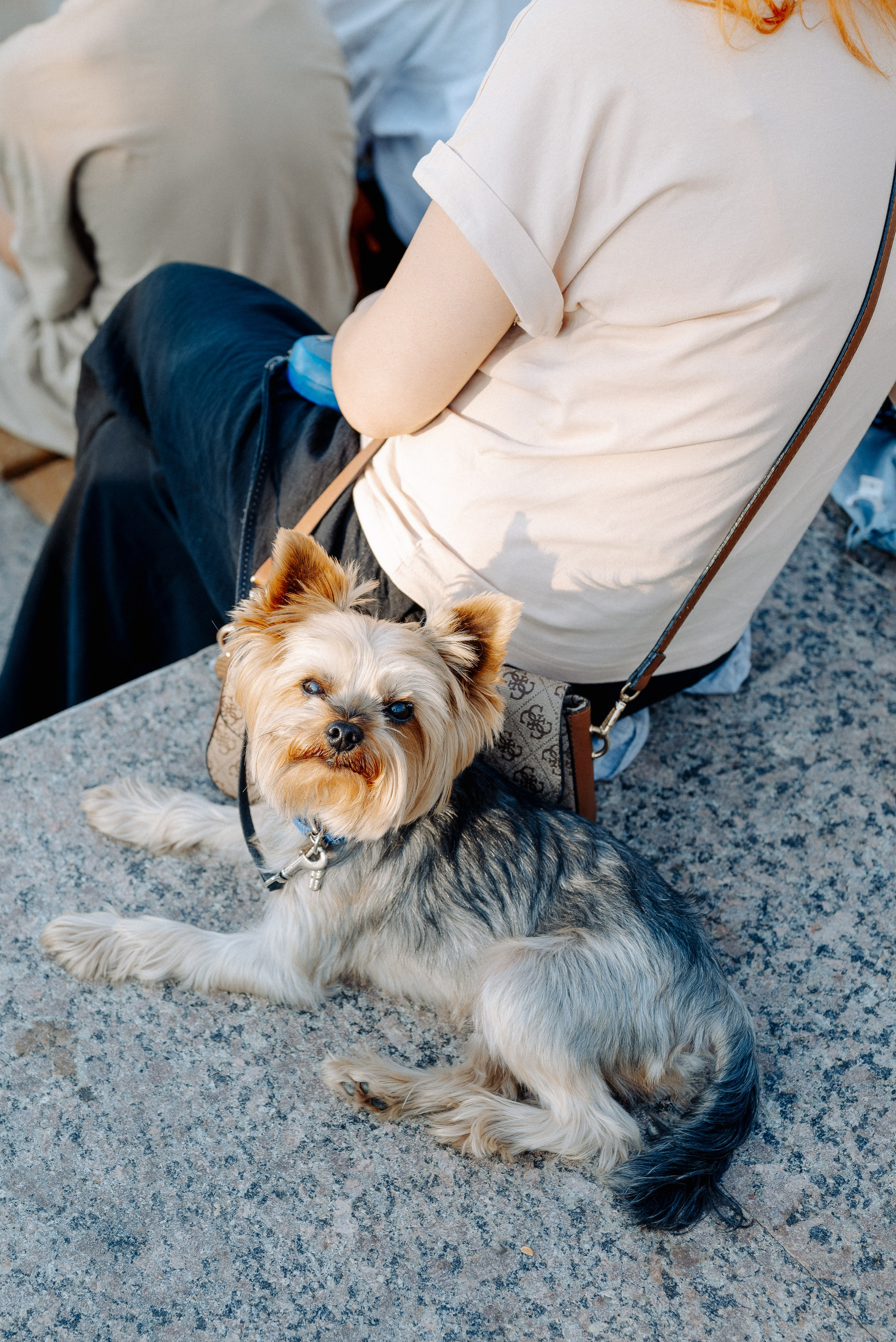 Фестиваль кино под открытым небом. ТАТИ | Татьяна Тихонова | фотограф | Тольятти Самара