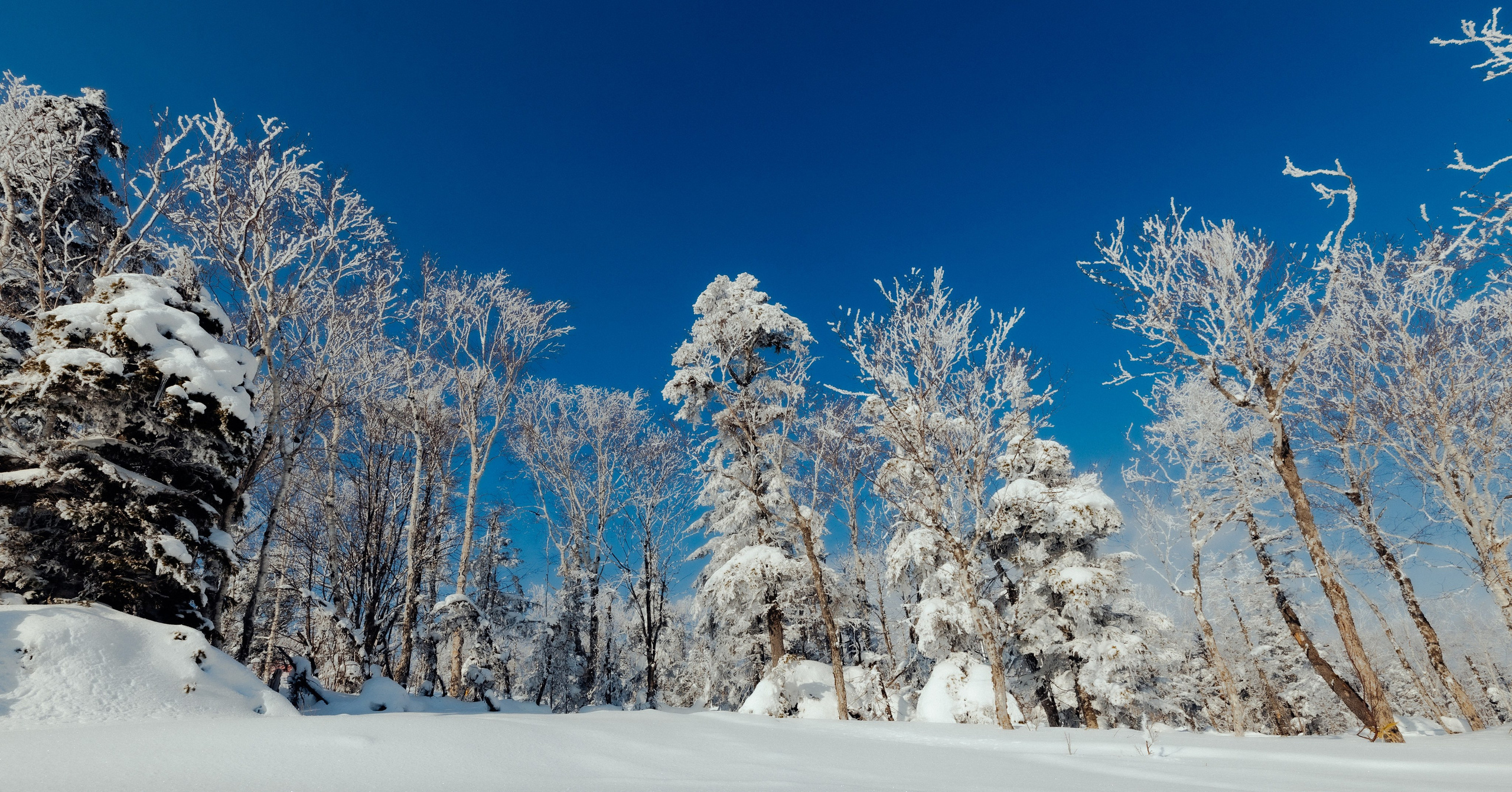 О.Сахалин. Фотограф. г. Южно-Сахалинск. Олег Толстов