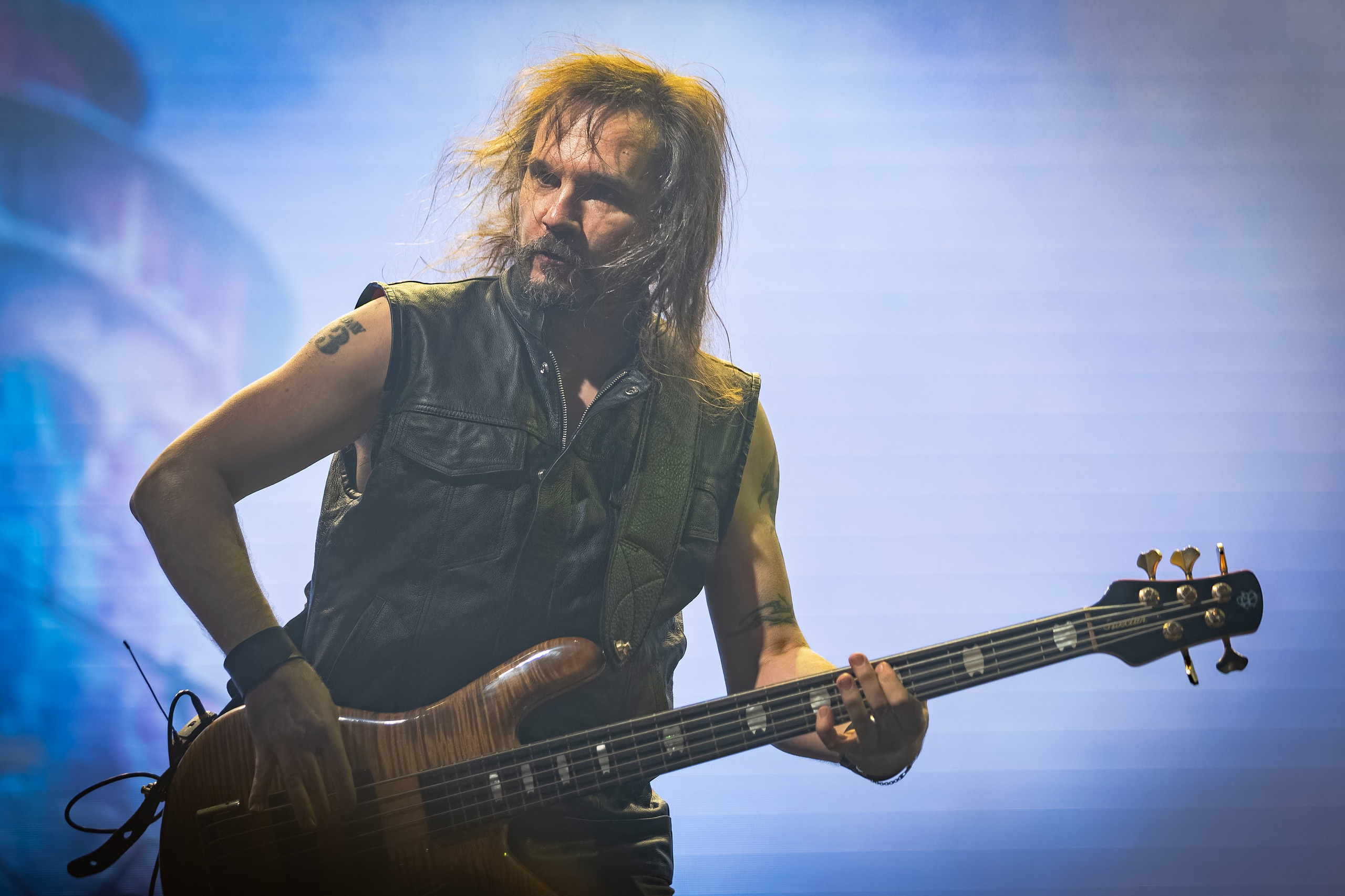 Эпидемия. Крылья Сахалина. Фотограф. г. Южно-Сахалинск. Олег Толстов