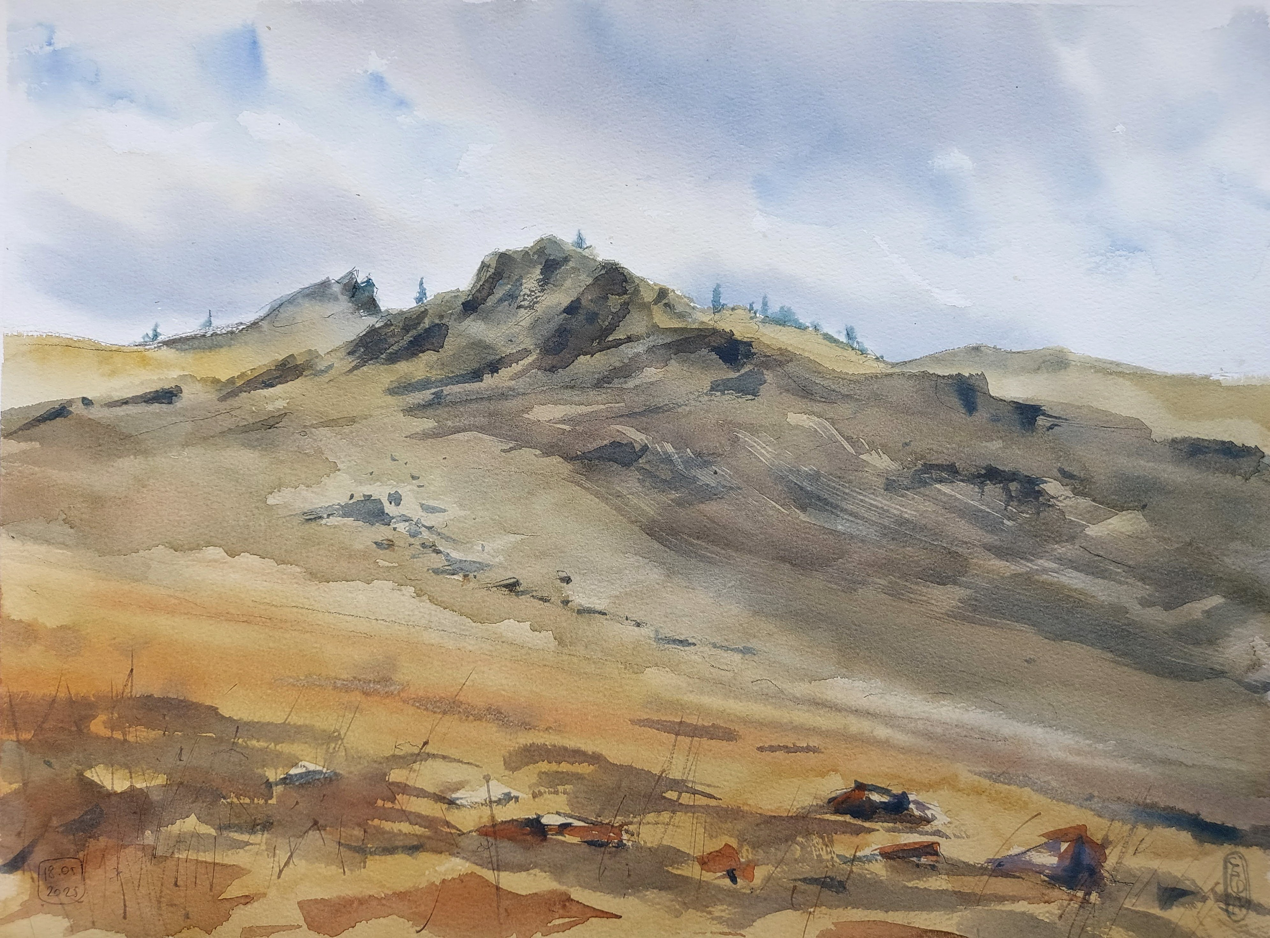 The Birch Mane | Krasnokamensk, Zabaykalsky Krai, Russia | May 2025 | A3