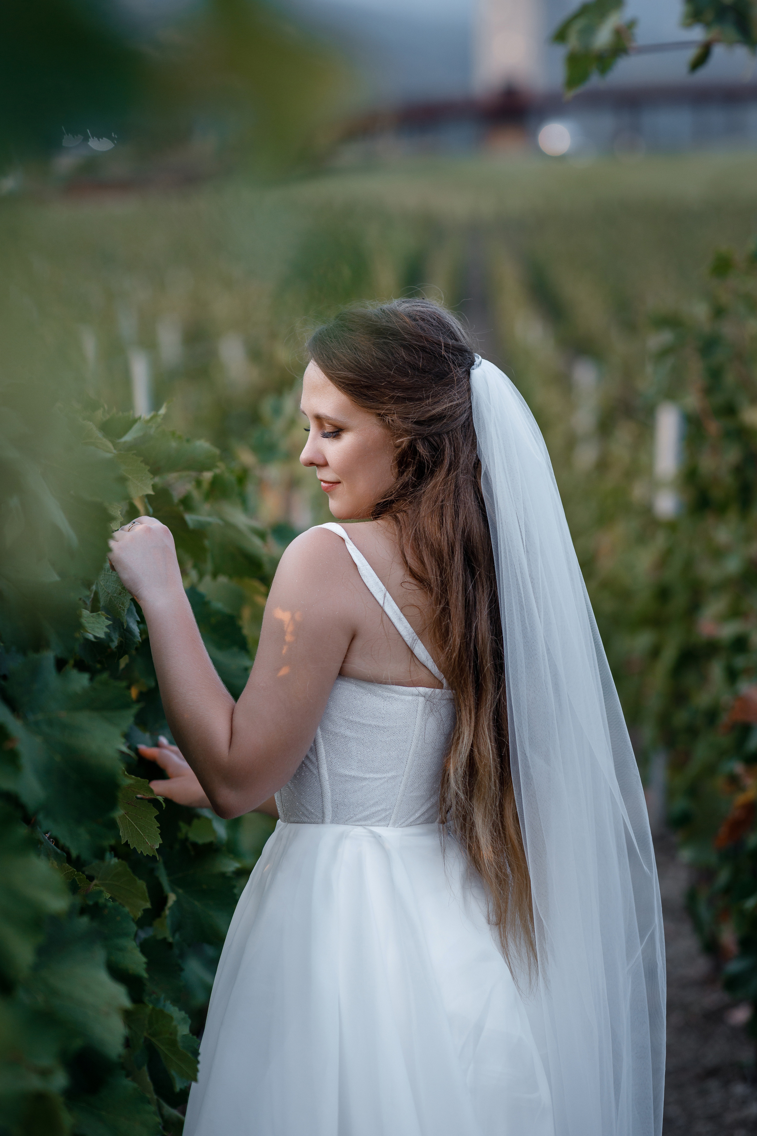 Анонс свадьбы Дарьи и Александра. Свадебный фотограф в Крыму и Севастополе Ольга Баскакова