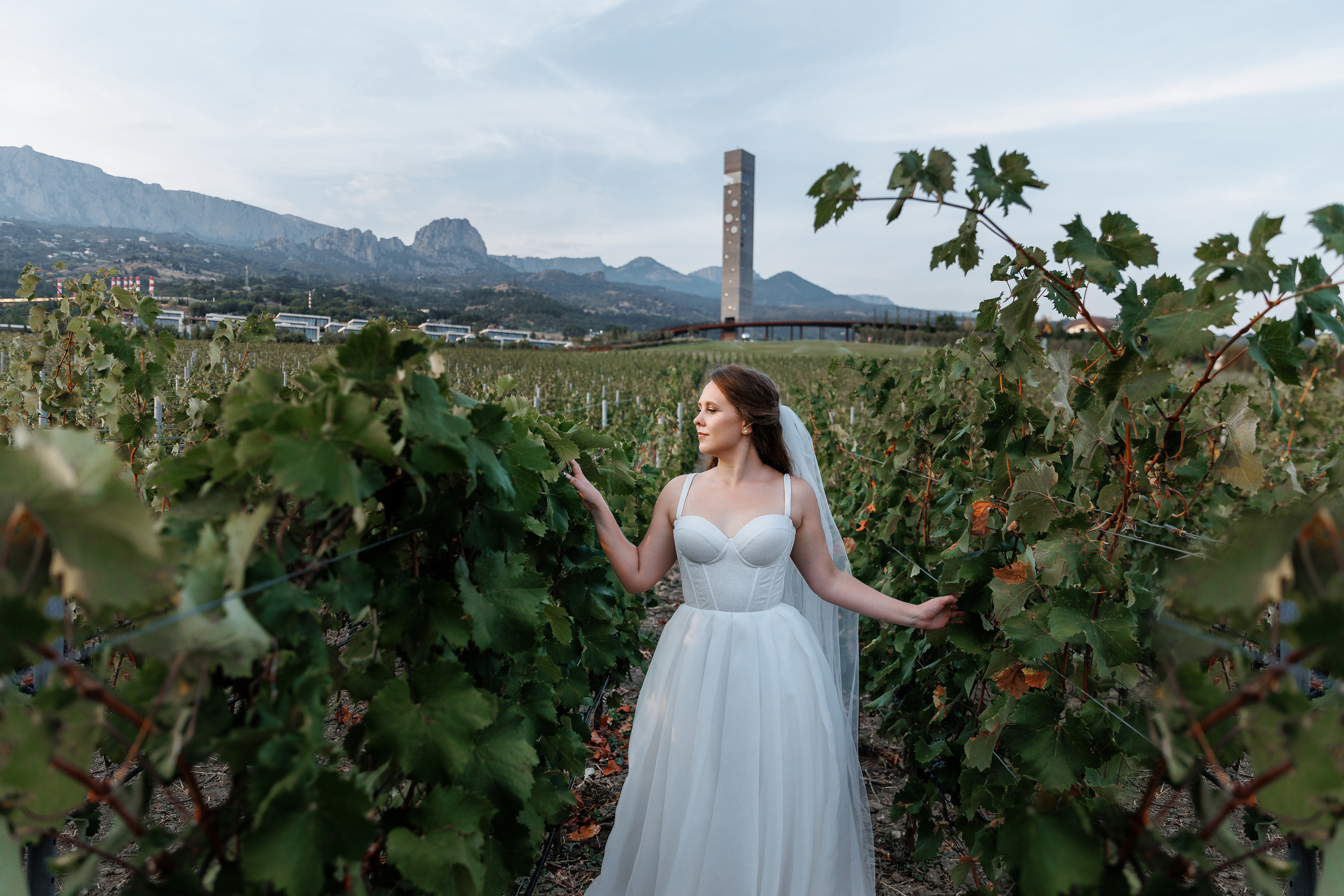 Анонс свадьбы Дарьи и Александра. Свадебный фотограф в Крыму и Севастополе Ольга Баскакова
