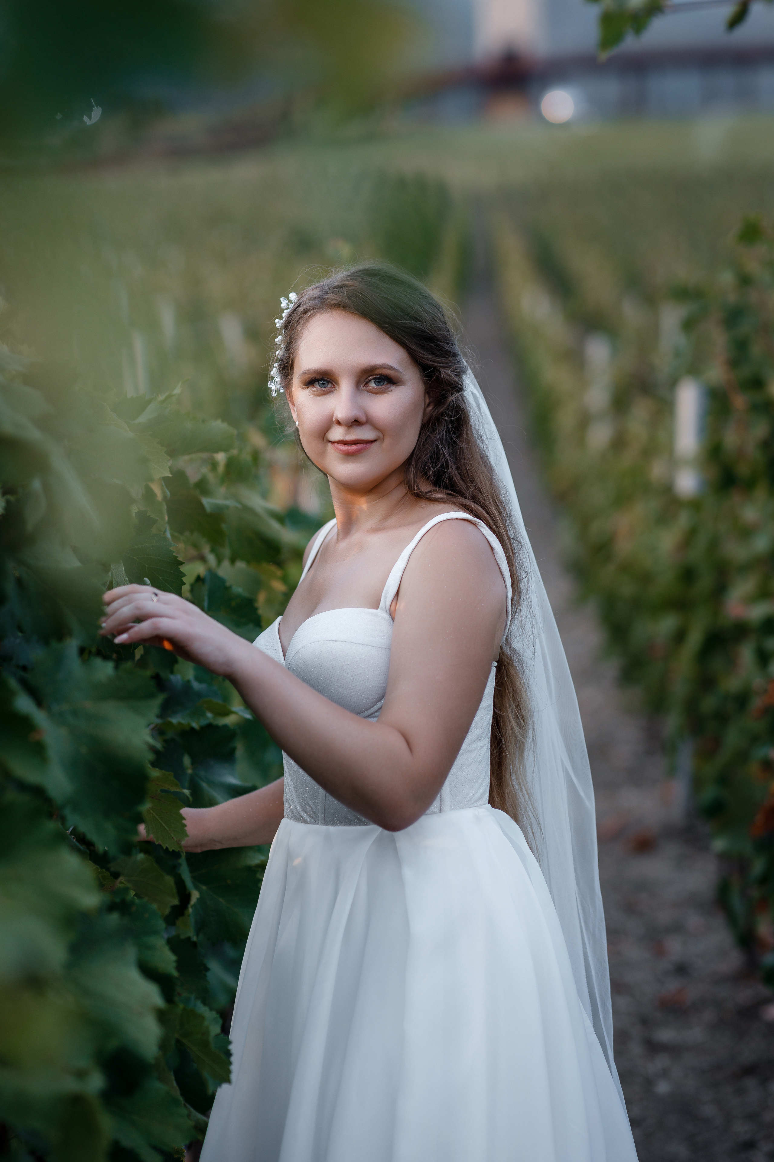 Анонс свадьбы Дарьи и Александра. Свадебный фотограф в Крыму и Севастополе Ольга Баскакова