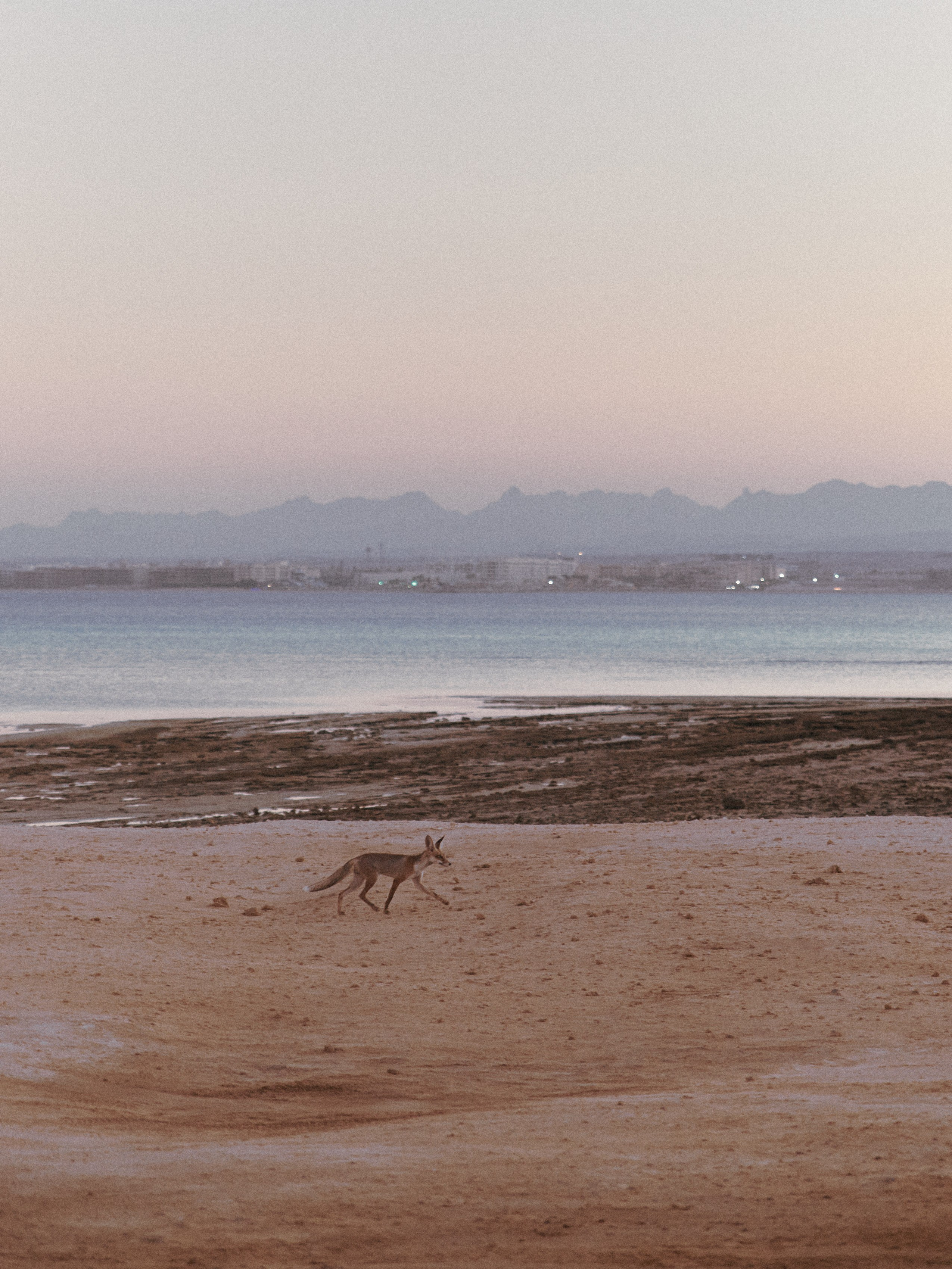 Диптих. Jorgis — фотограф в Хургаде / обучение фотографии