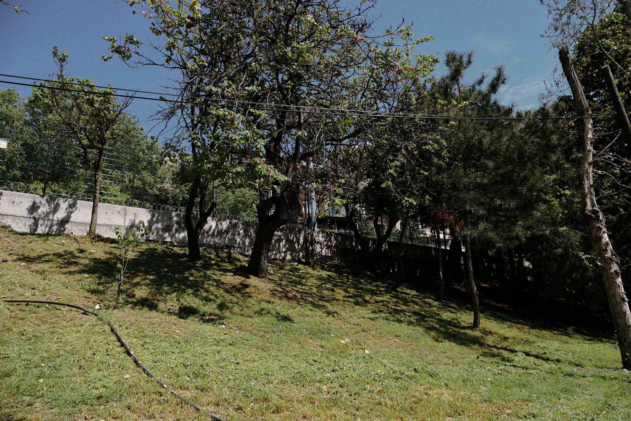 Улица горизонтальная. Jorgis — фотограф в Хургаде / обучение фотографии