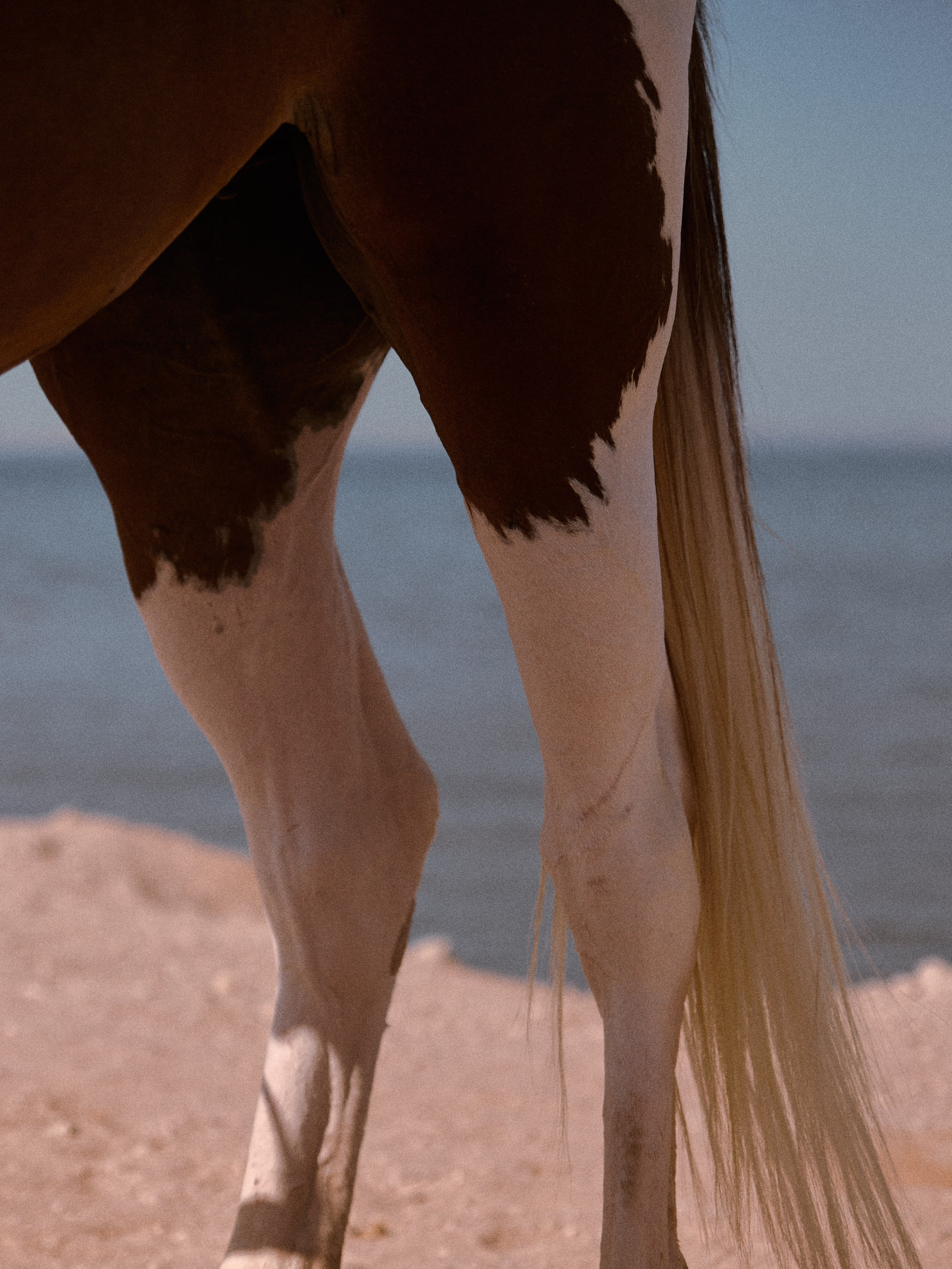 Другое 2. Jorgis Talè — photographer, kind person, teacher of arts and other mag