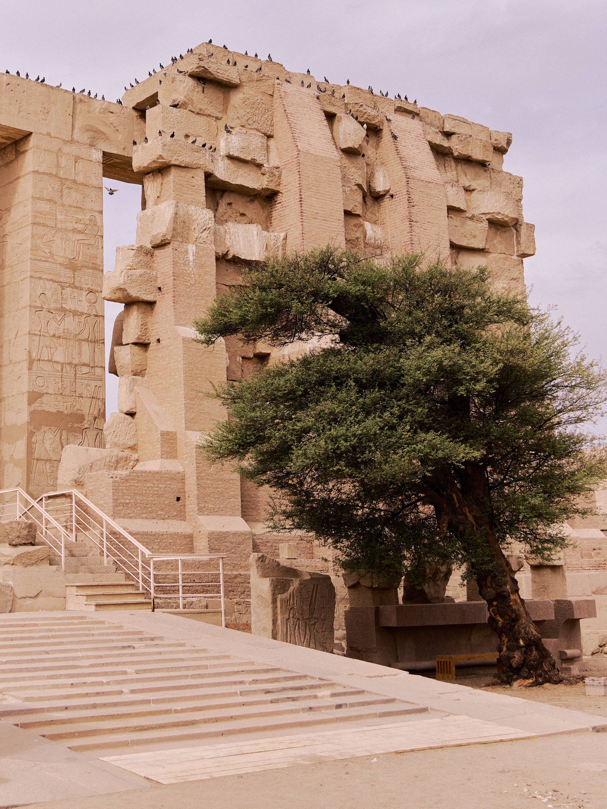 Другое 4. Jorgis — фотограф в Хургаде / обучение фотографии