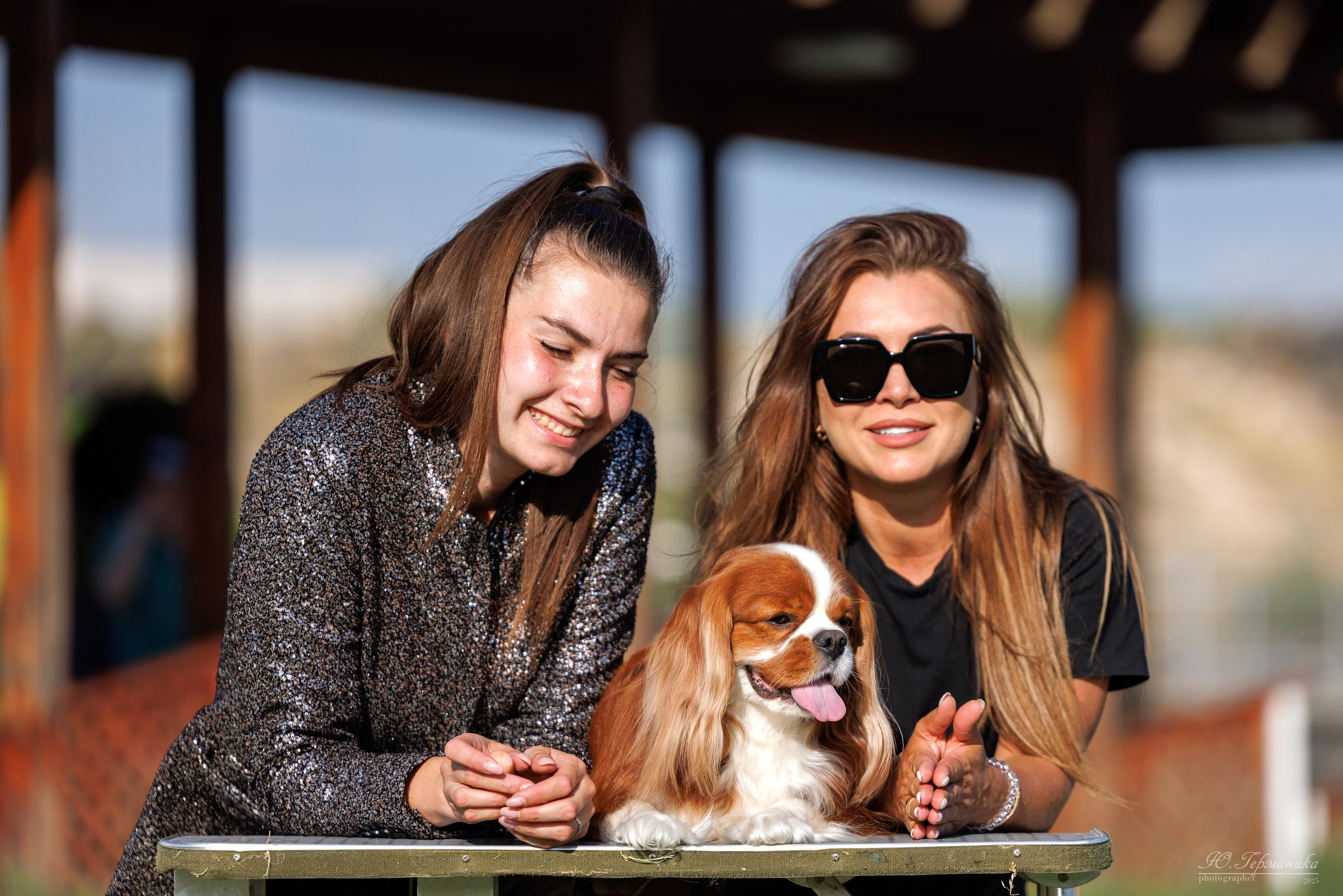 Ереван 3хCACIB 23-25.06.2025. Фотограф-анималист Юлия Германика