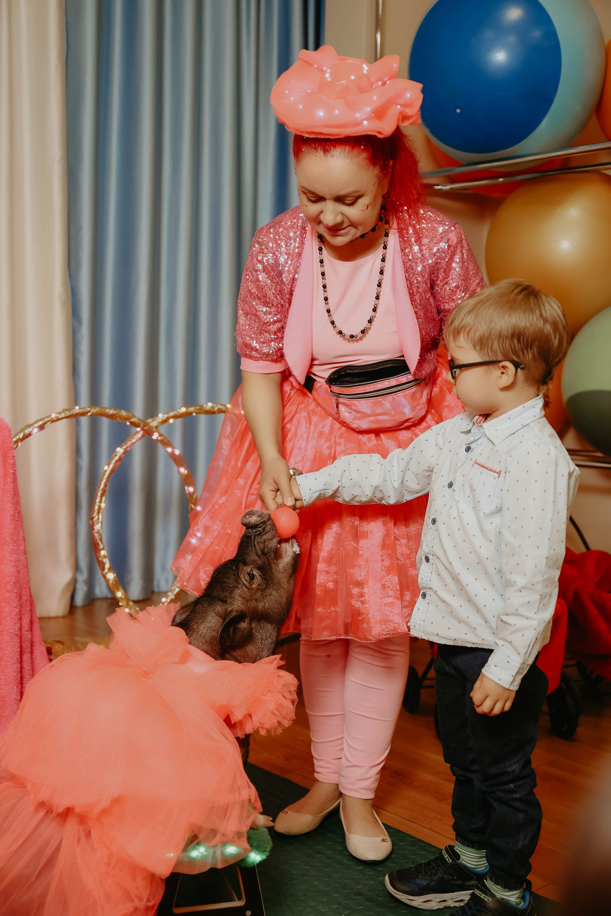 Белле 5 лет. Фотограф в Москве и любой точке земного шара Алёна Вялова (Чулкова)