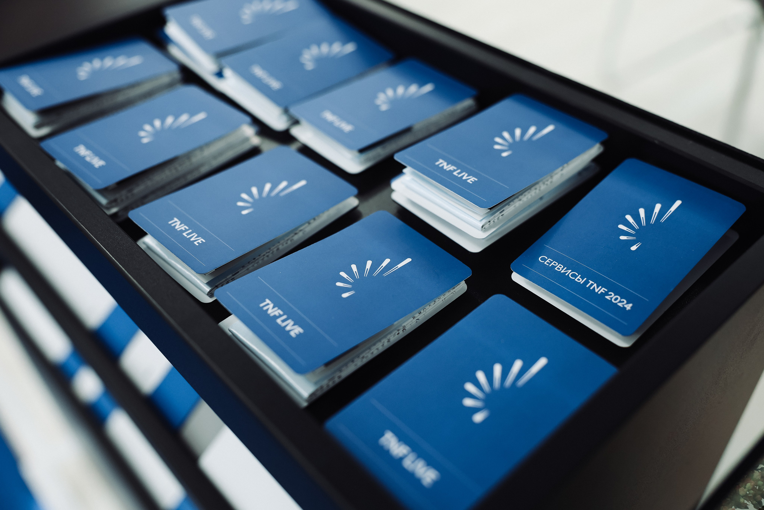 TNF 2024. MIG — студия спортивной фотографии Михаила Голянского