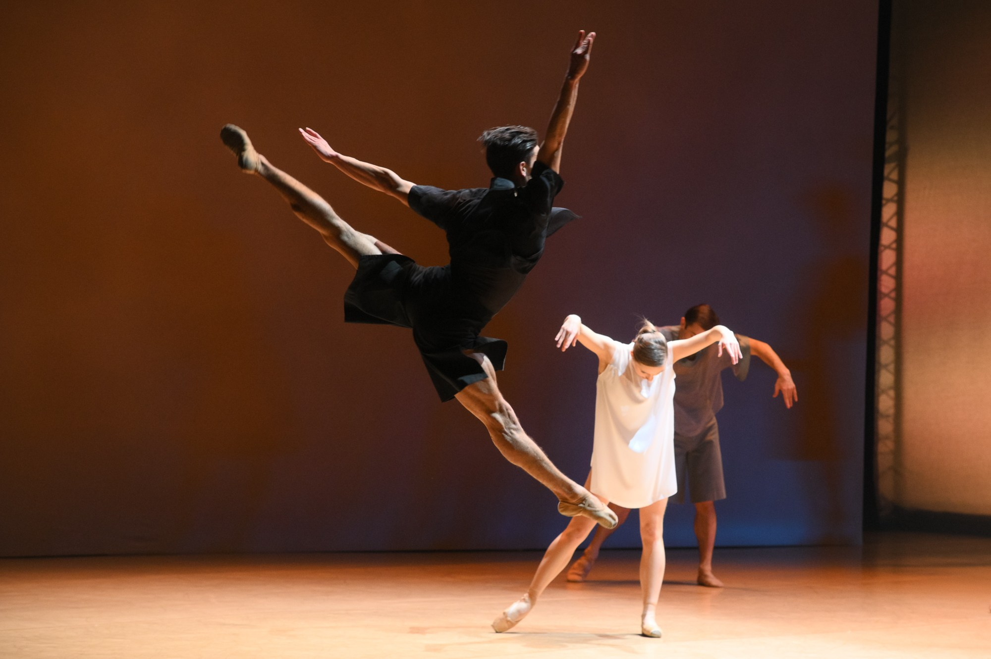 Балет Москва: Транскрипция цвета. Елена Дружинина. Спортивный и репортажный фотограф