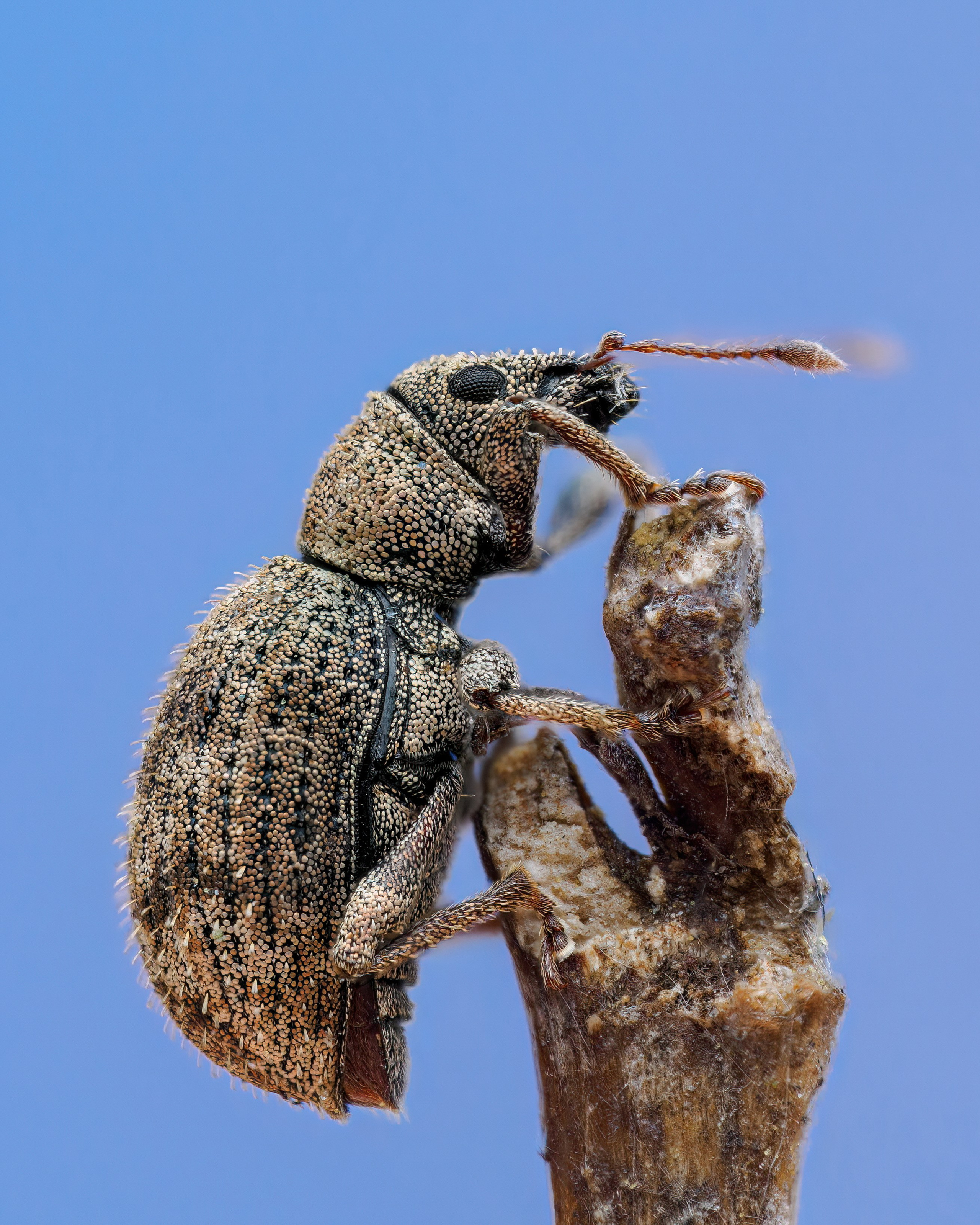 Macrolover | Блог о макро и не только