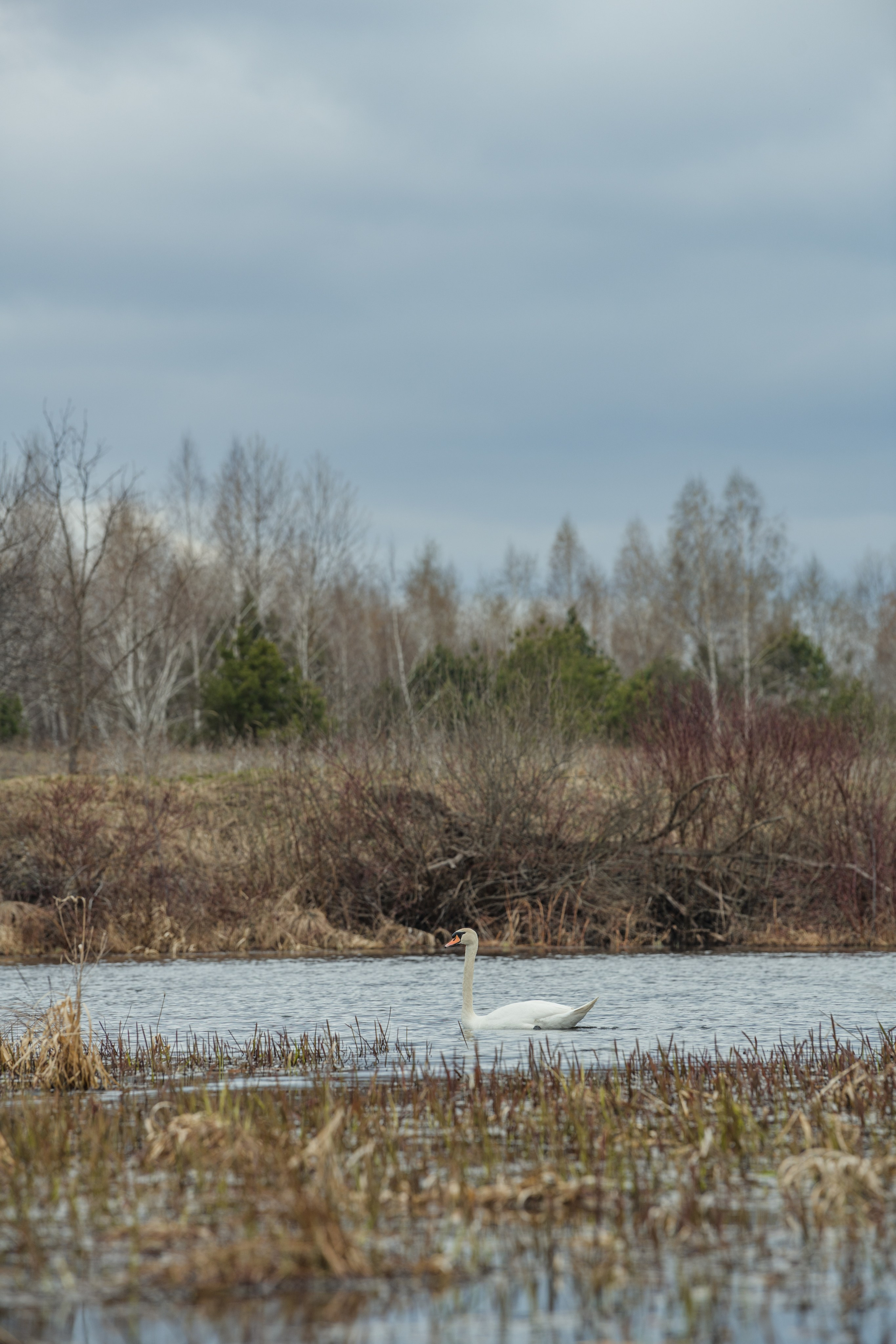 Разведка нового маршрута. Репортажный фотограф Владимир Беляй