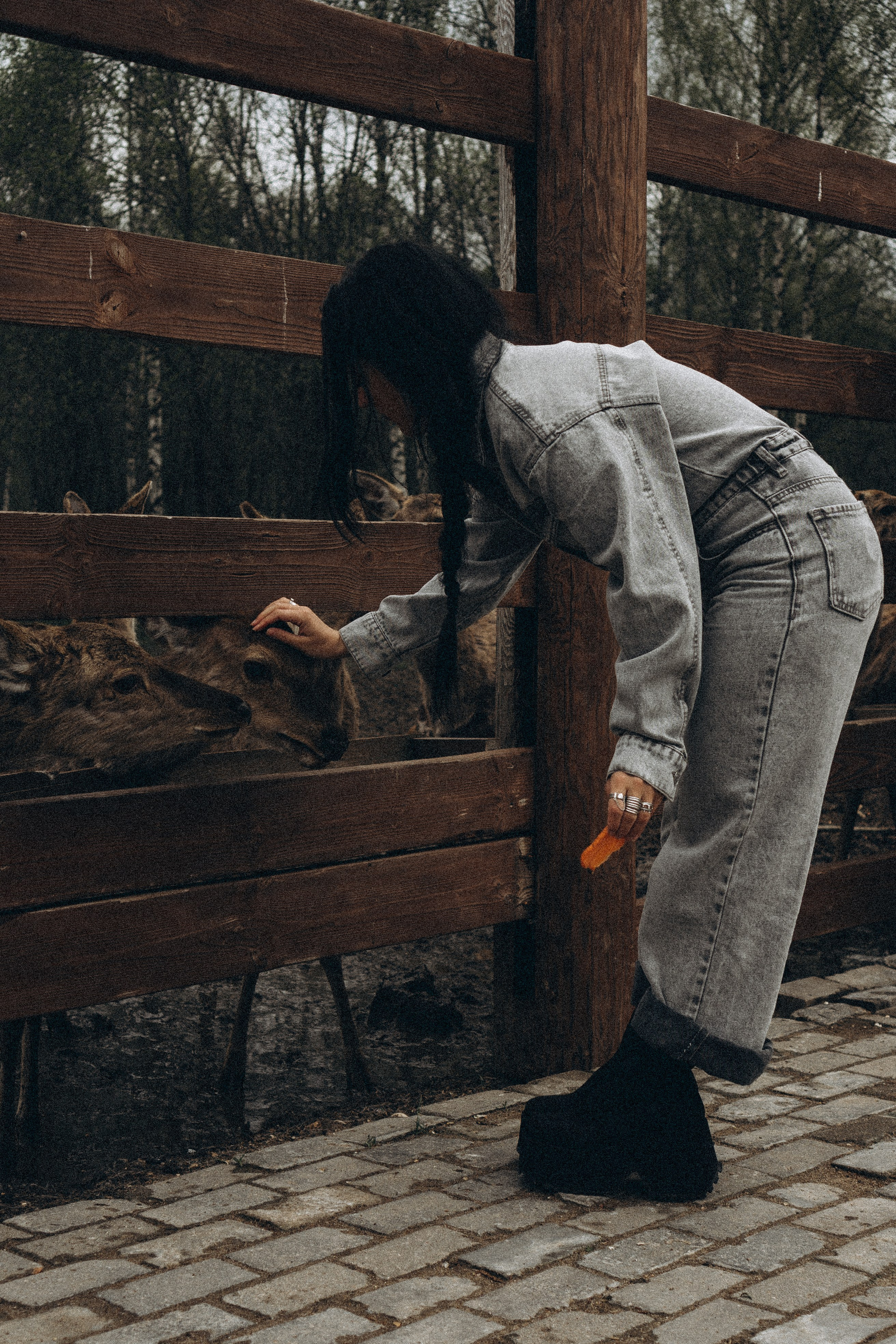 ОЛЕНЬЯ ФЕРМА В ТВЕРИ. Профессиональный фотограф, Санкт-Петербург — Виктория Богомолова