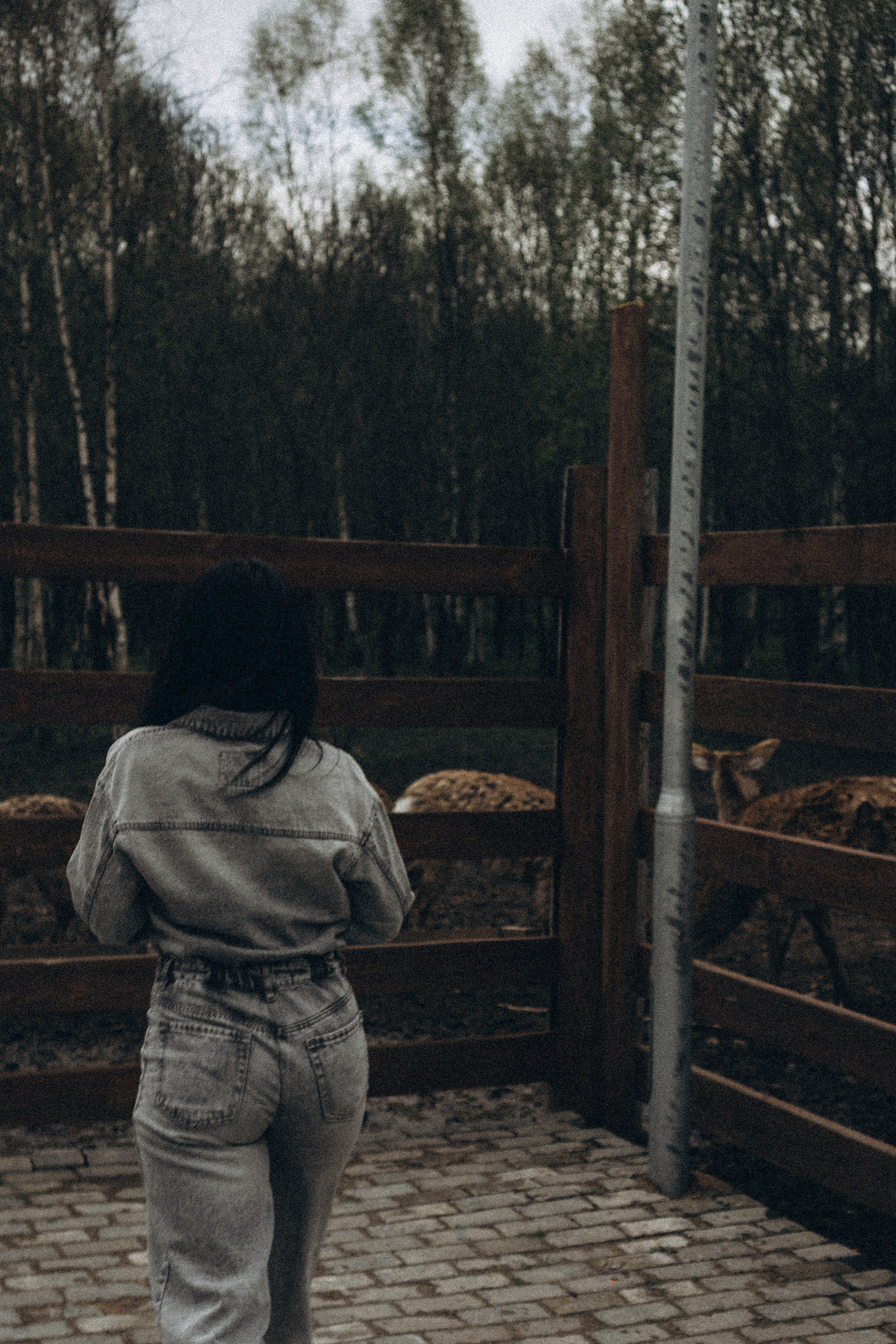 ОЛЕНЬЯ ФЕРМА В ТВЕРИ. Профессиональный фотограф, Санкт-Петербург — Виктория Богомолова