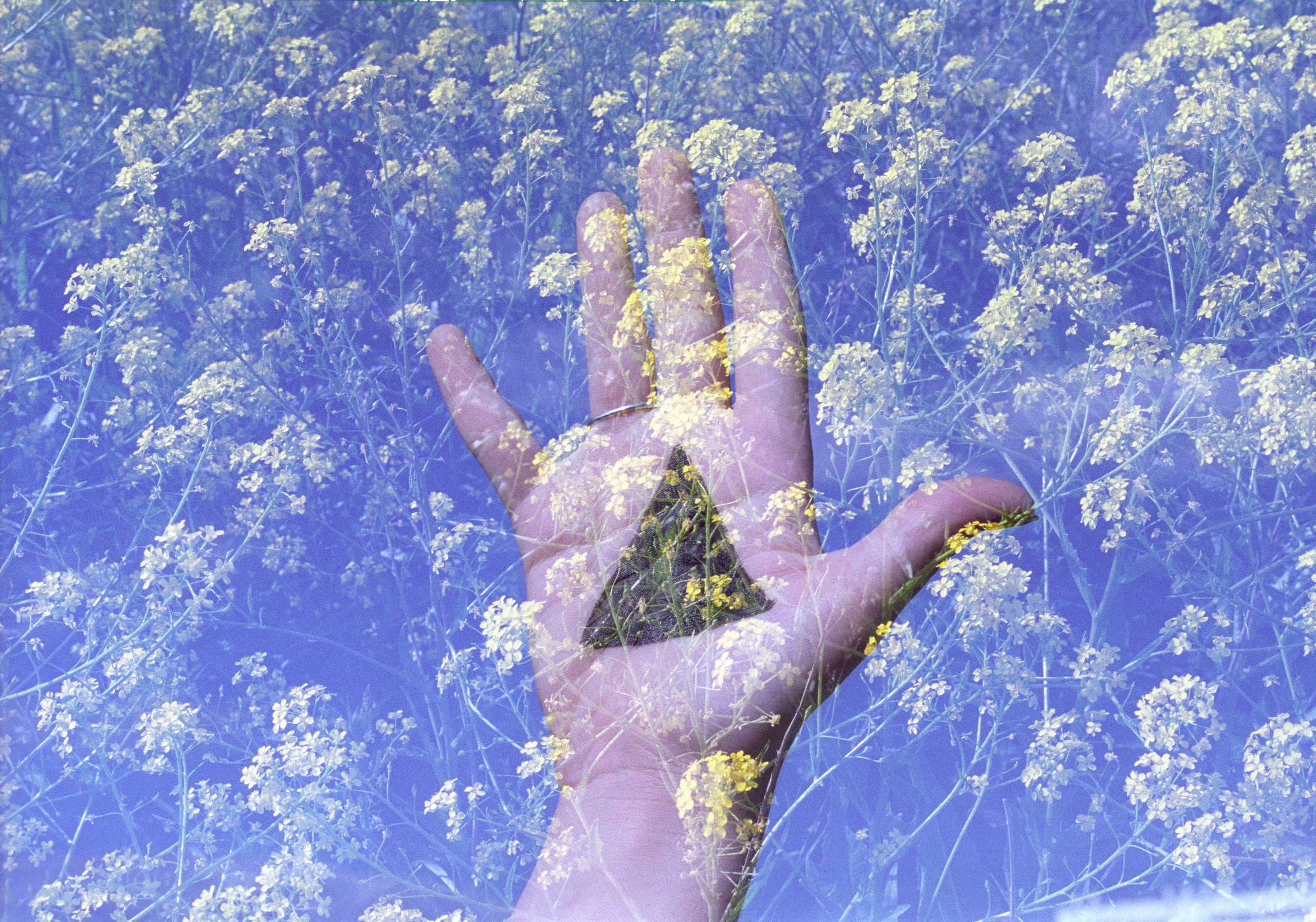 Фотограф в Санкт-Петербурге Березовский Даниил