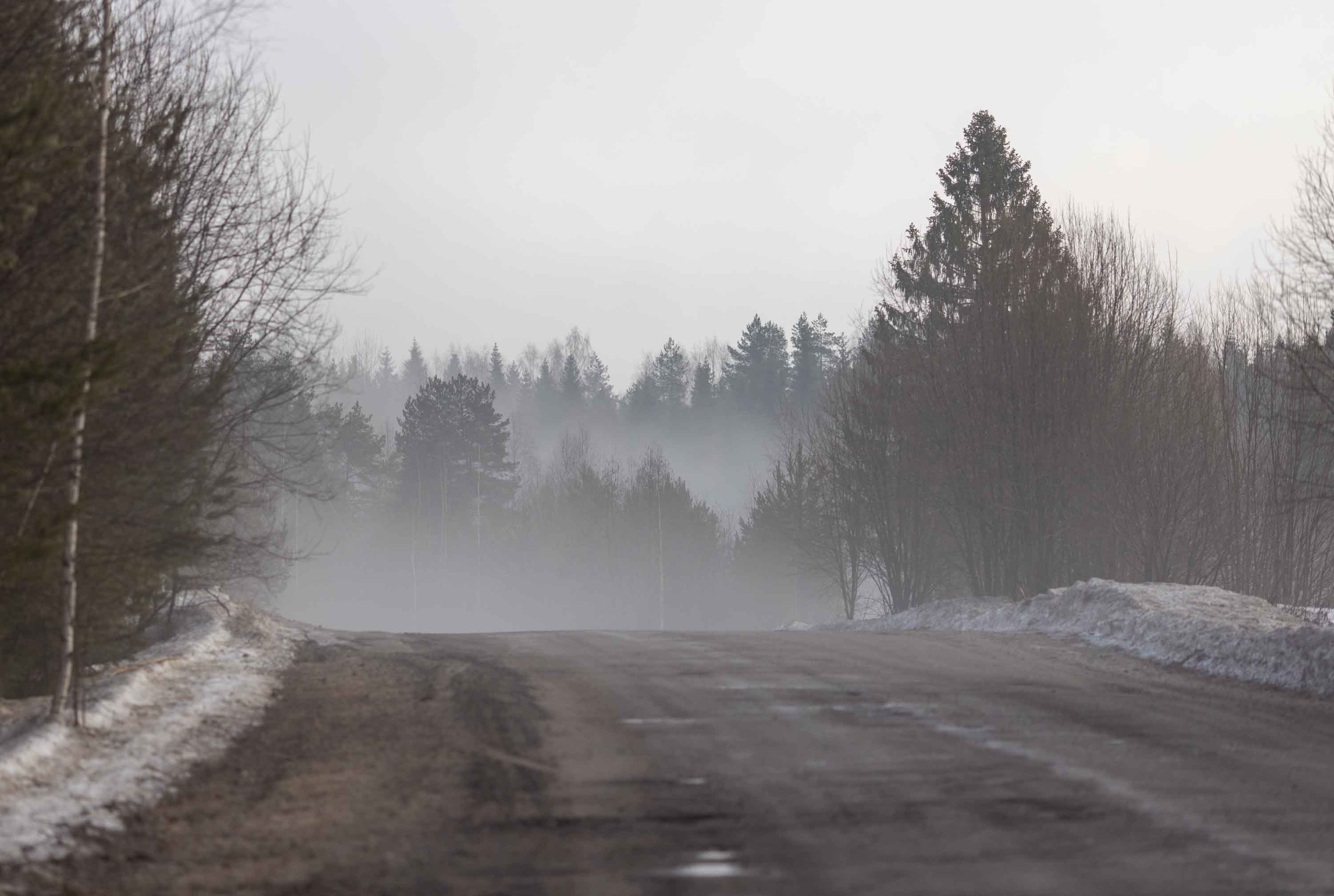 Природные пейзажи. Наталия Клевинскас портретный фотограф в Костроме