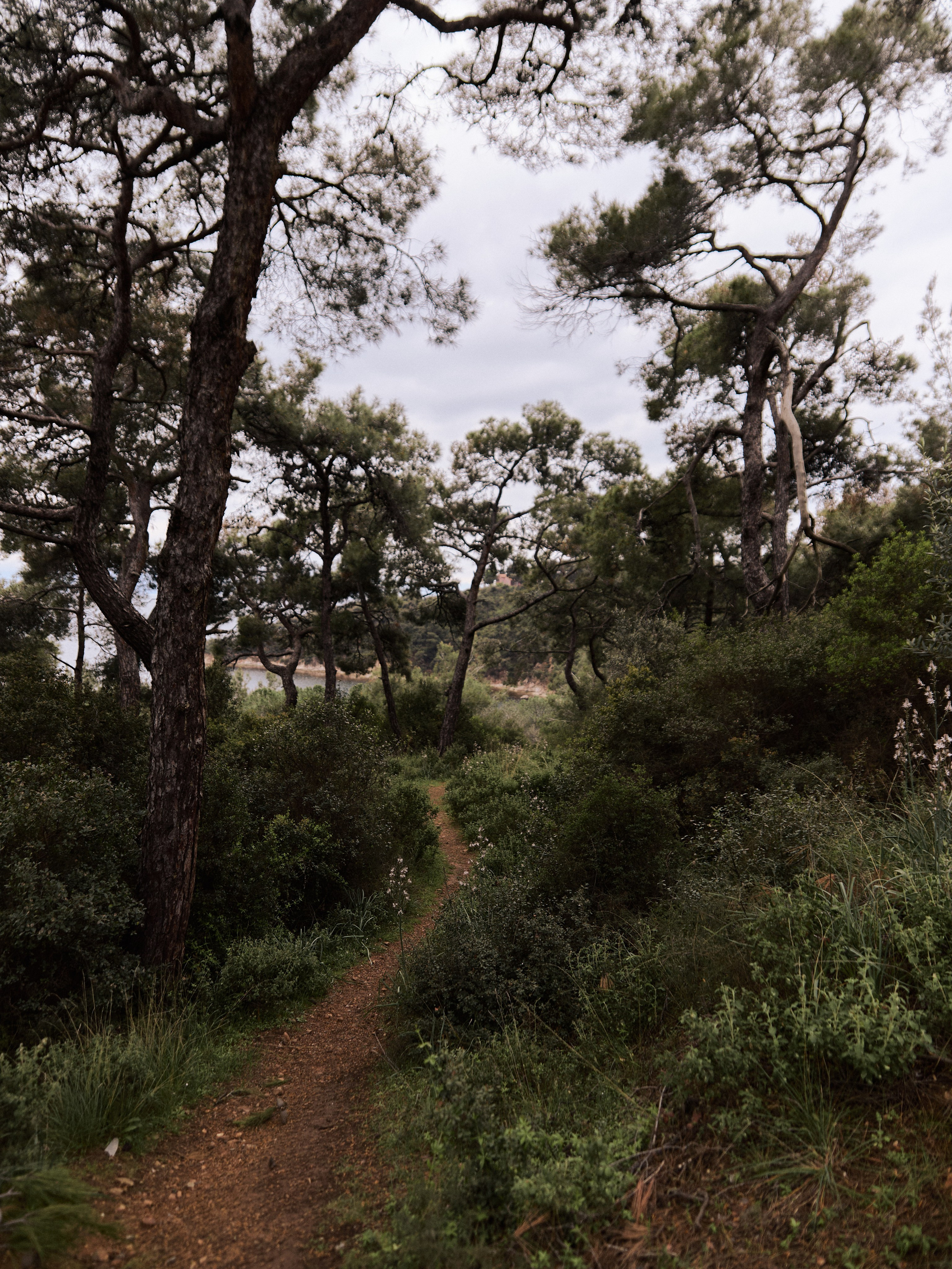 Природа. Jorgis Talè — photographer, kind person, teacher of arts and other mag