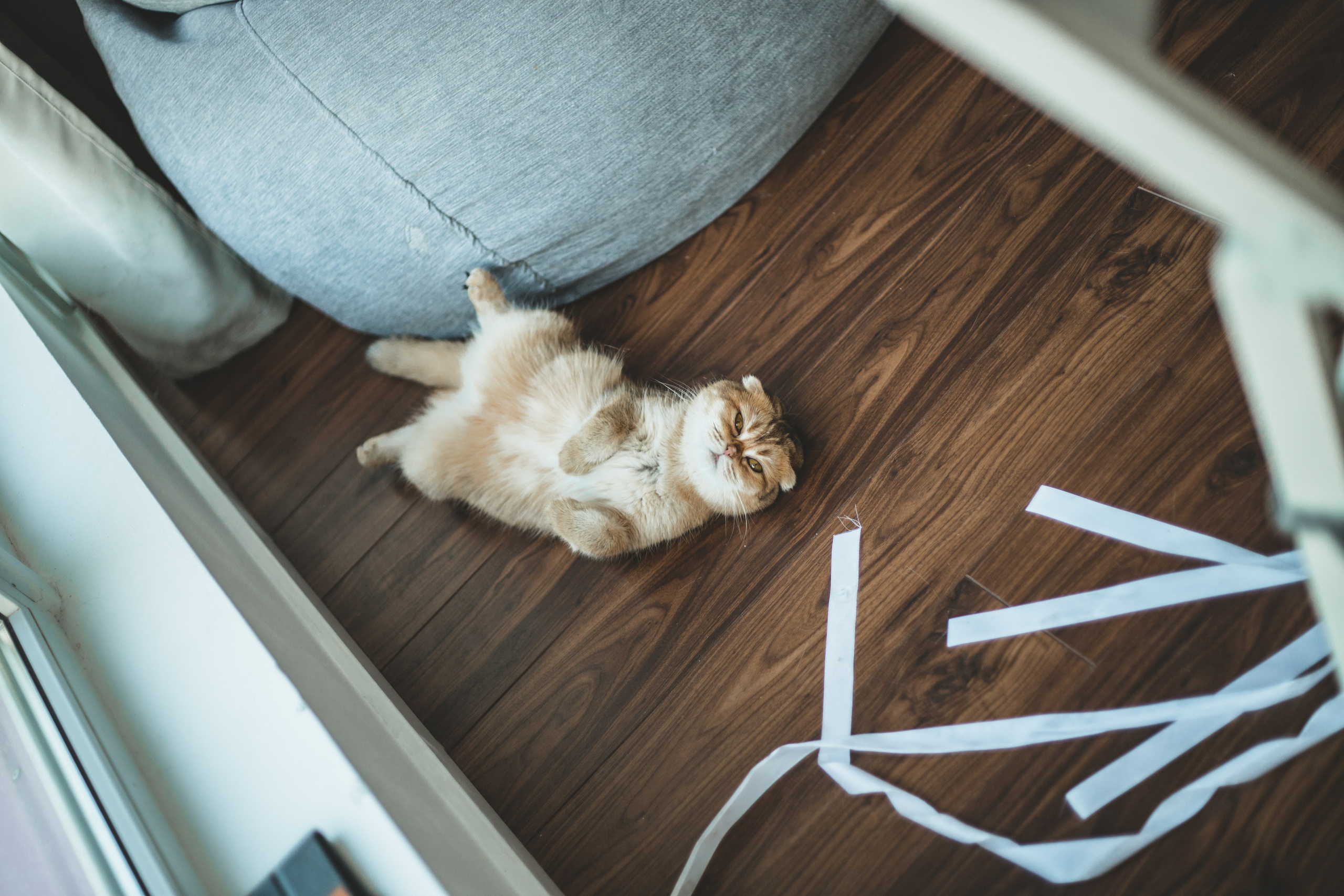 Когда в семье появился ещё один человечек…)) <3. Фотограф Сочи, Адлер, Красная Поляна — Вероника Радченко