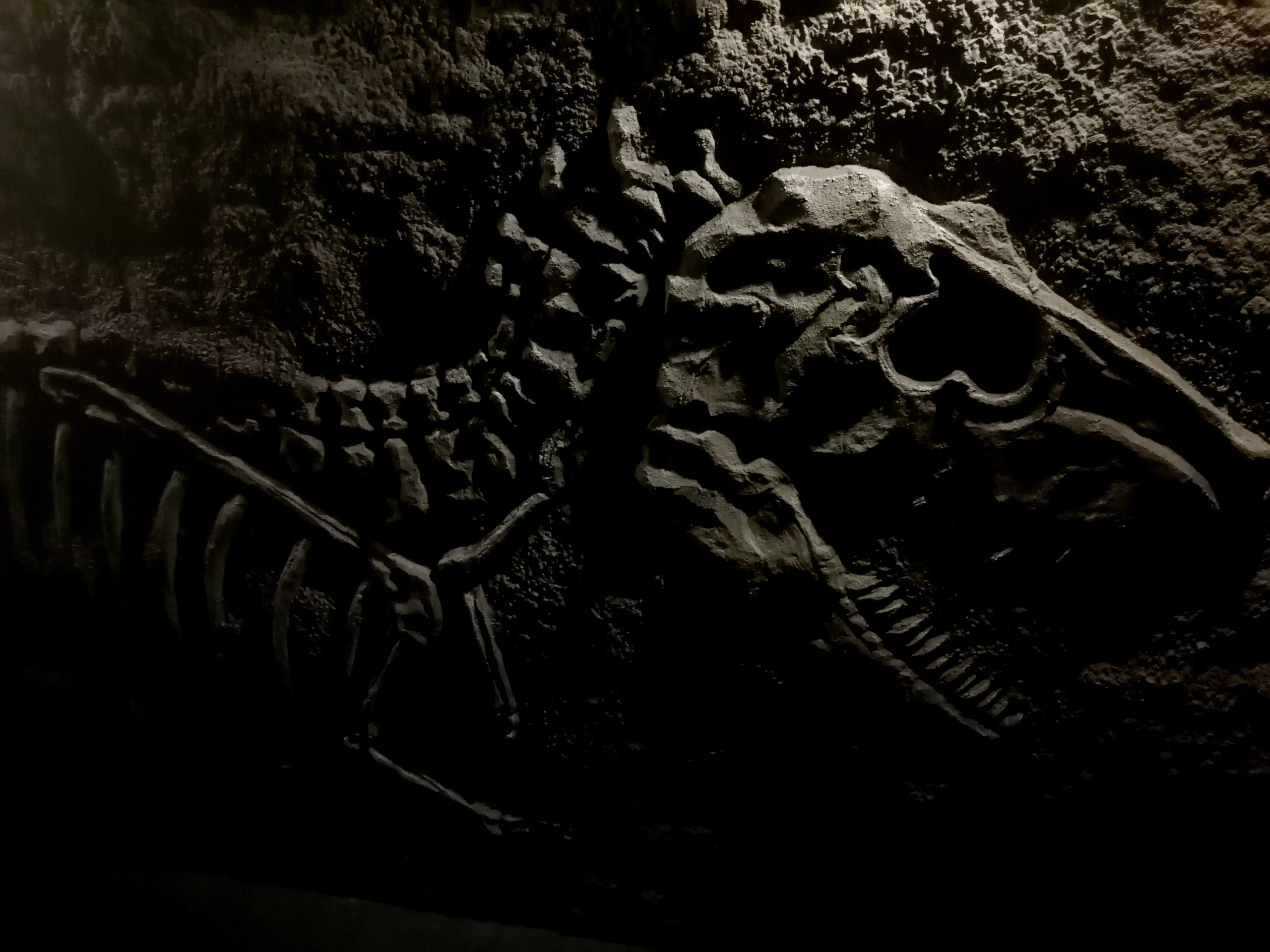 Фотосъемка мероприятий в Москве. Предметная съемка в Москве. Профессиональный предметный фотограф — Вячеслав Валерьевич