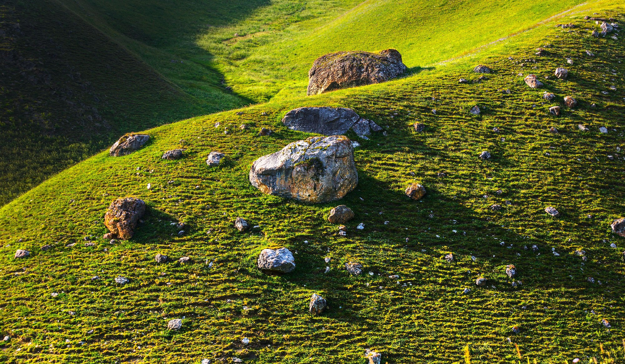 Свадебный фотограф в Геленджике