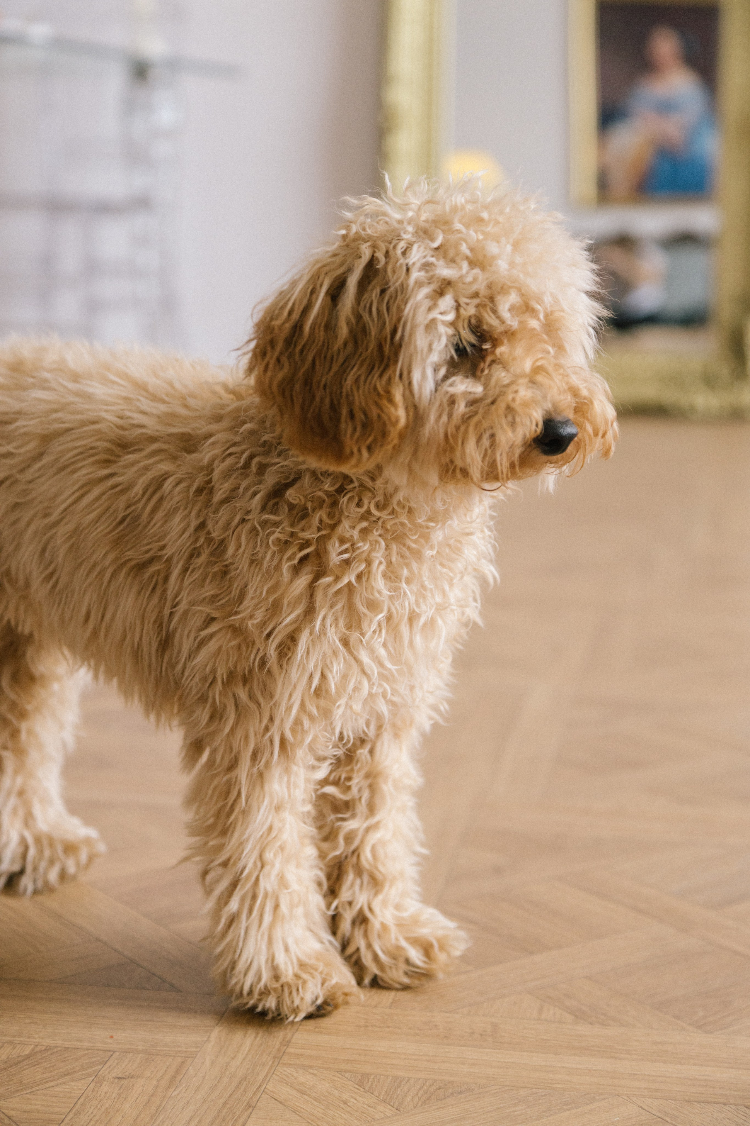 Ростислав и Виктория