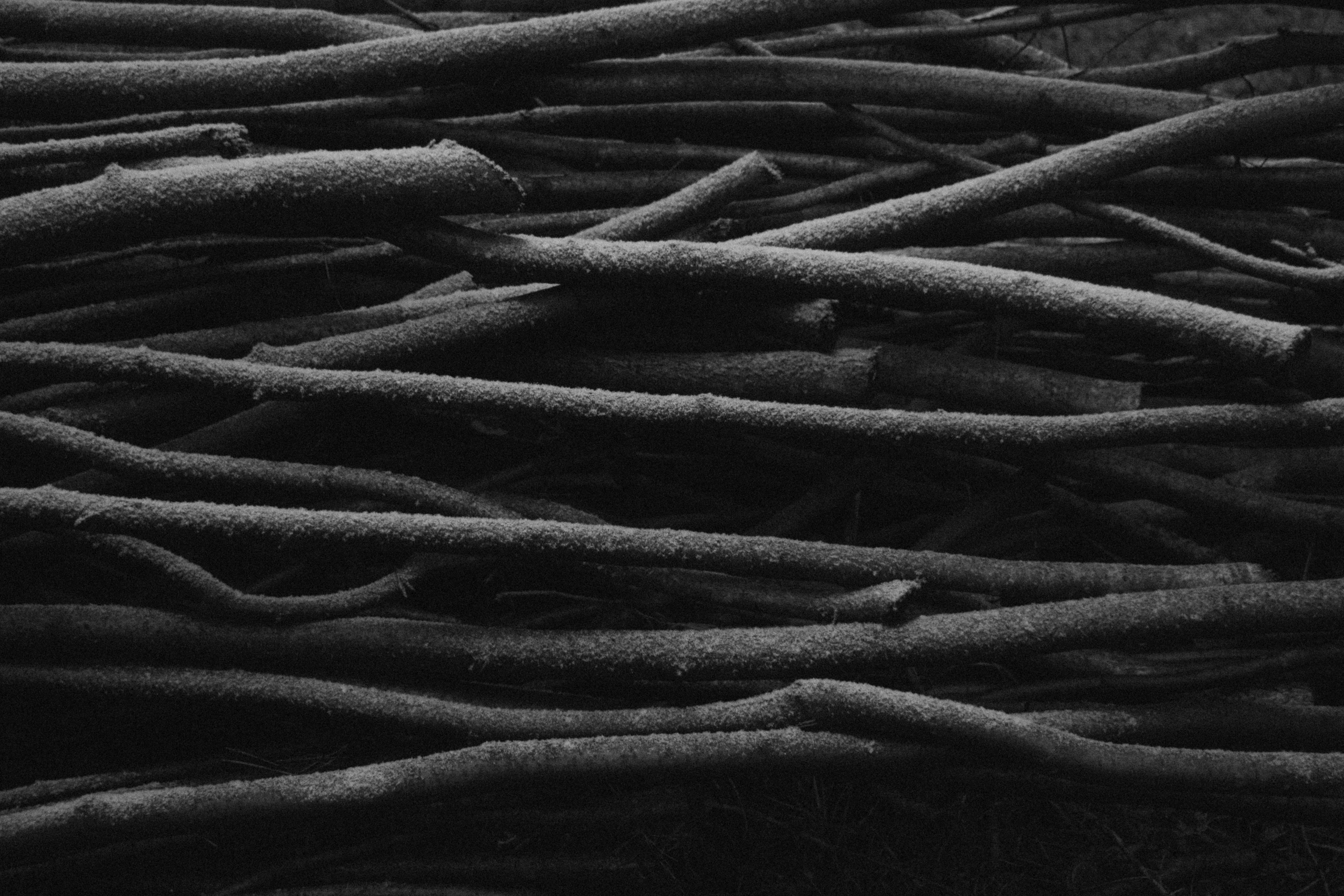 Интимный пейзаж. Олег Романов. Мастер фото по спорту