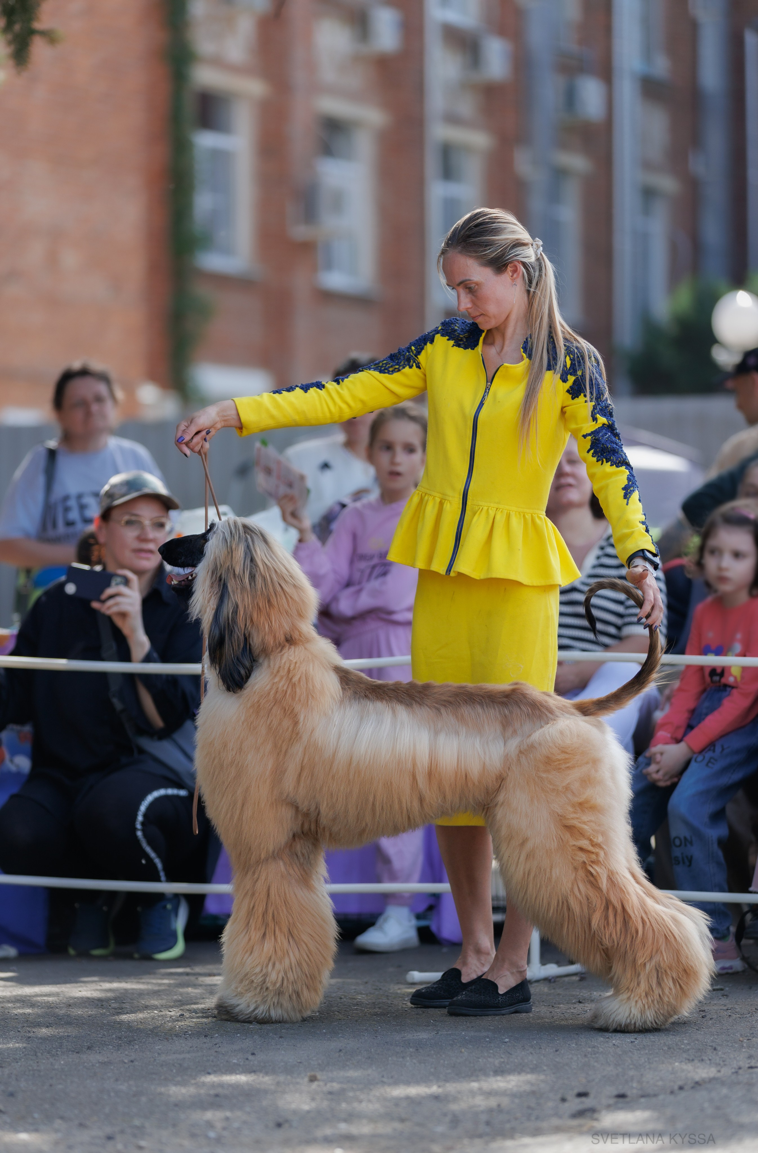 Фото с выставки собак. Фотограф — анималист Светлана Кысса|фотограф собак в Краснодаре и Нижнем Новгороде