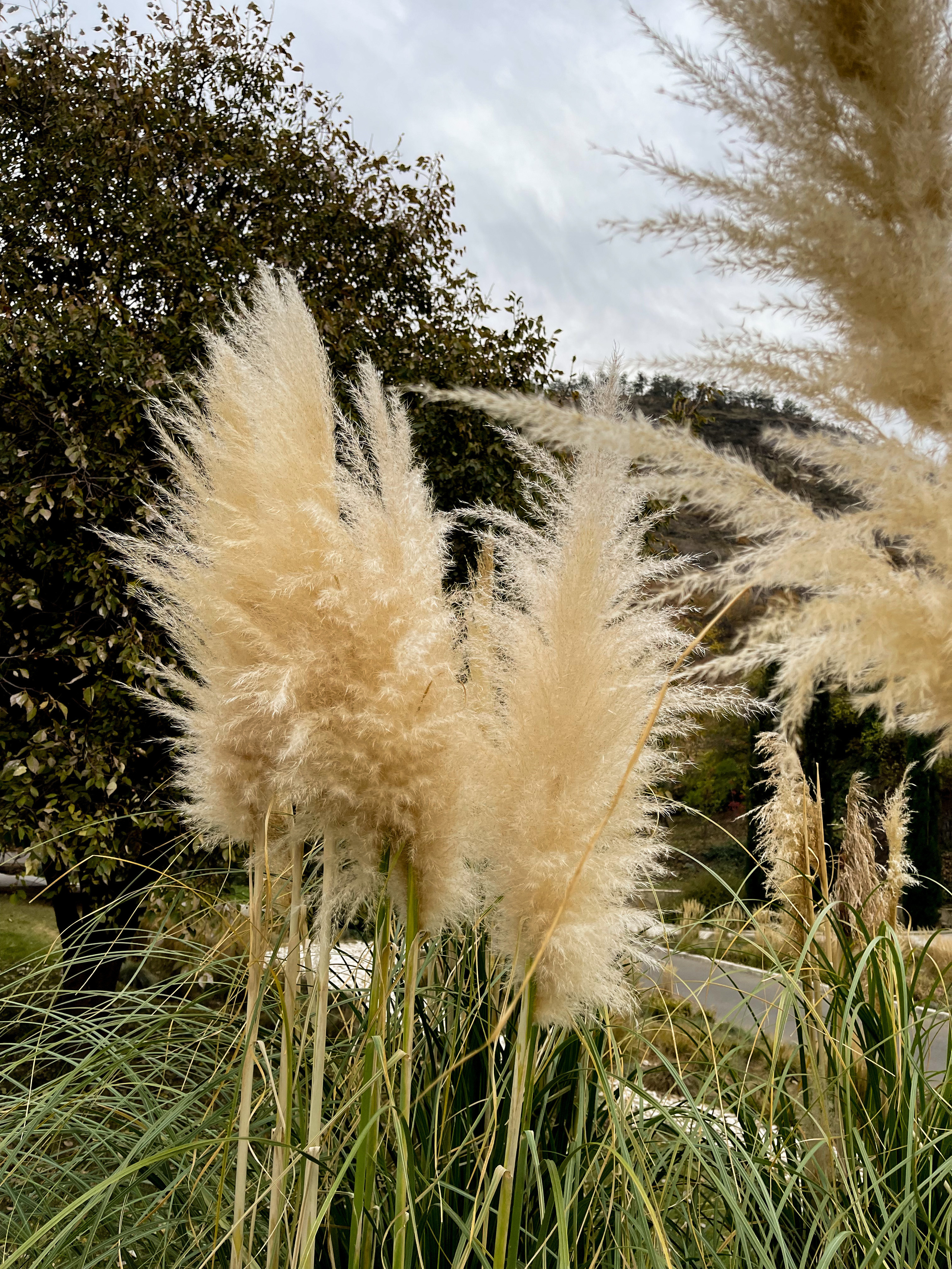 Контакты. Фотограф Москва. Базанова Анастасия