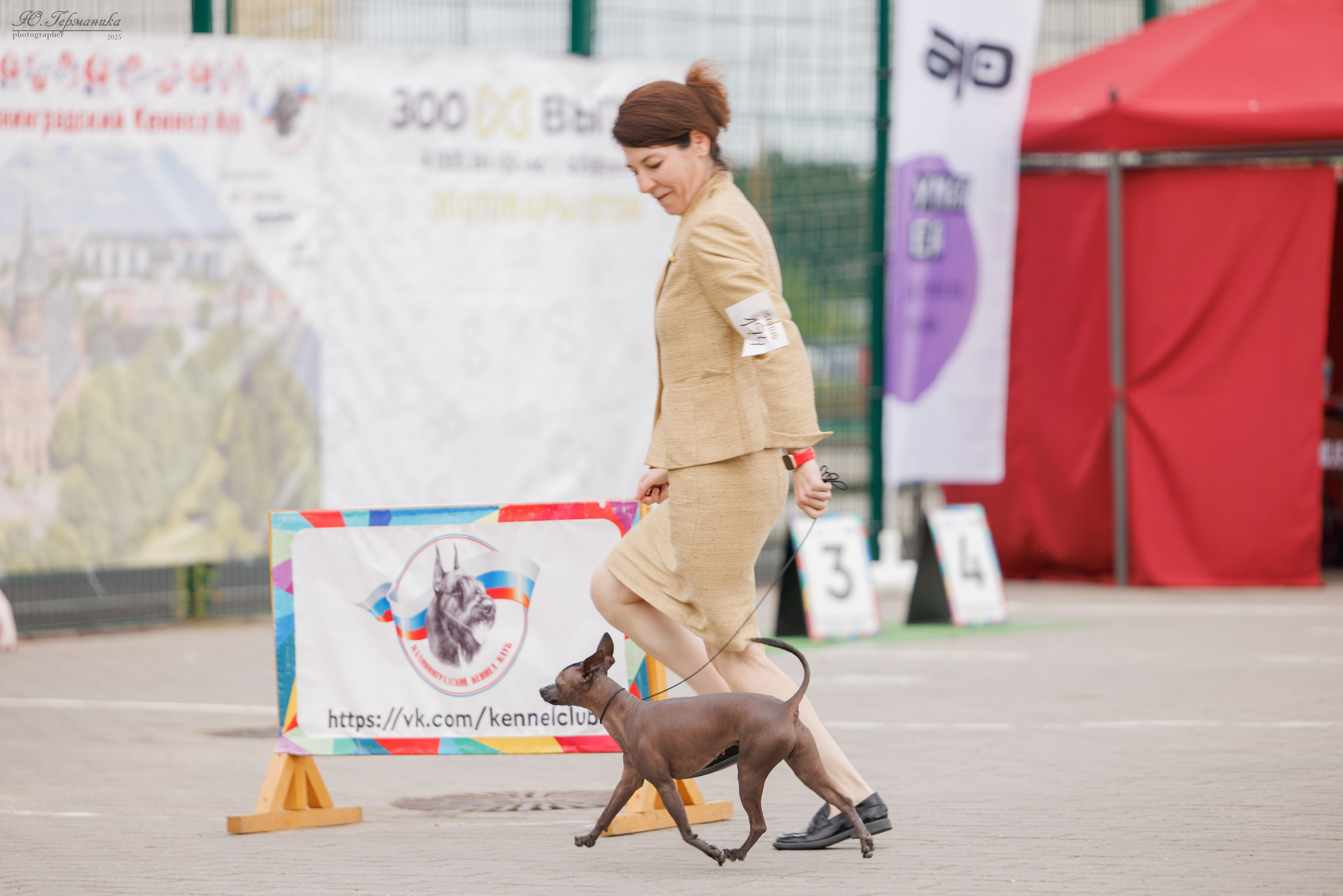Калининград 25-27.07 Волгоград 1-3.08 2025. Фотограф-анималист Юлия Германика
