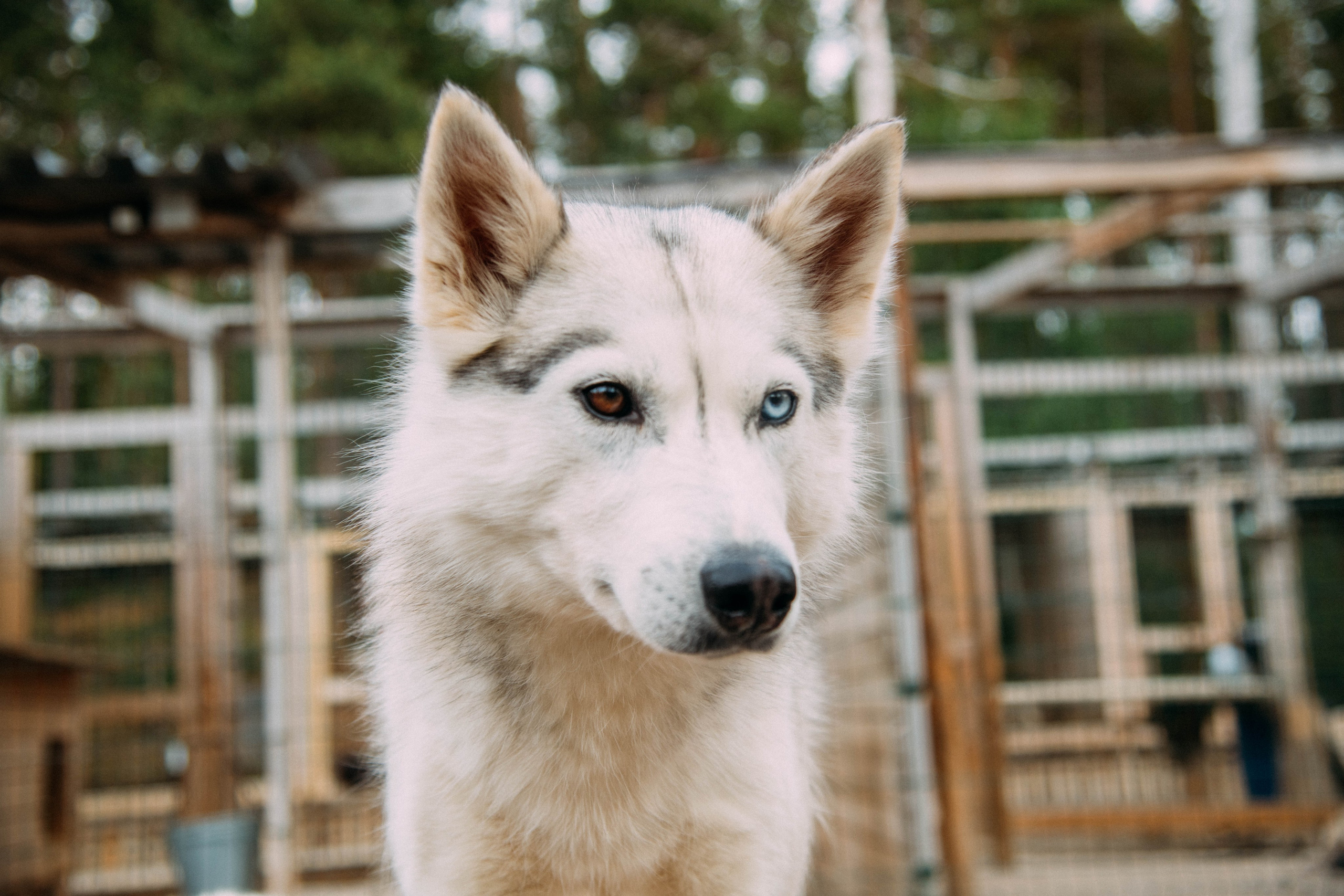 Кольский полуостров. Фотографирую для себя, своей семьи и друзей!