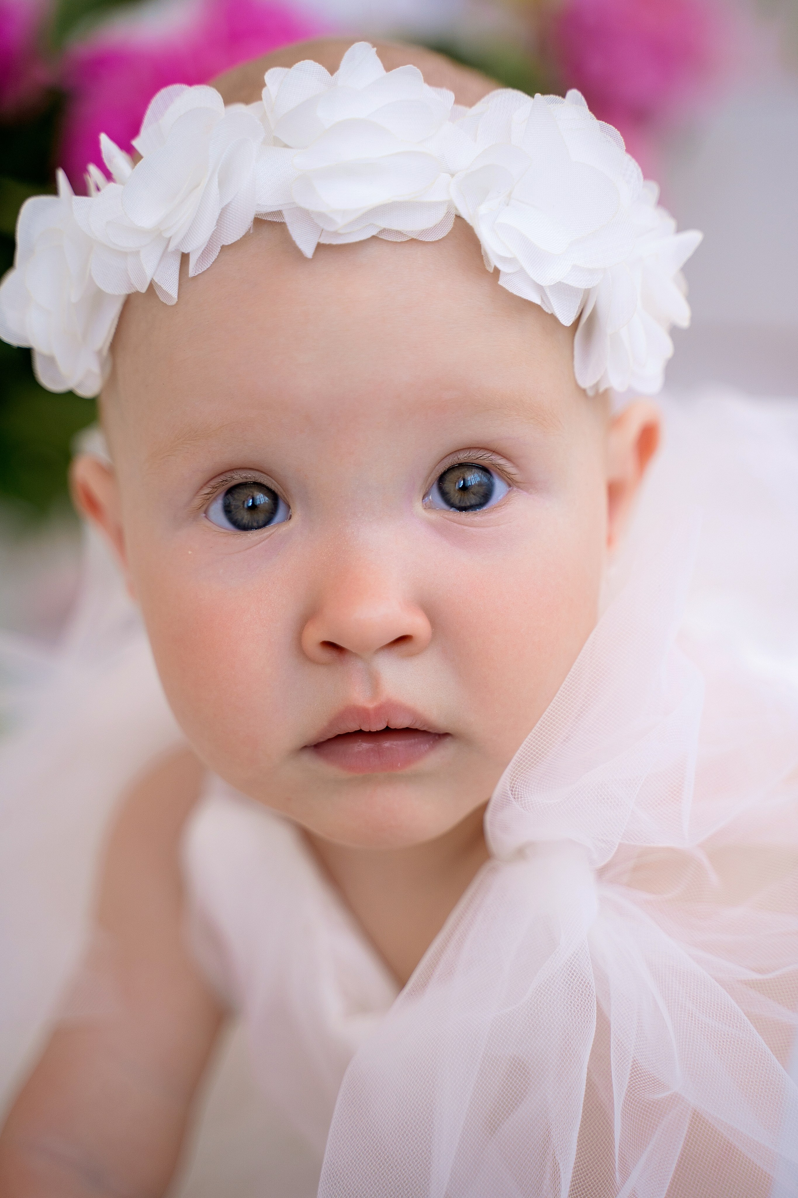 Пионы. Фотостудия Малина в городе Улан-Удэ. Фотограф Ирина Жарникова