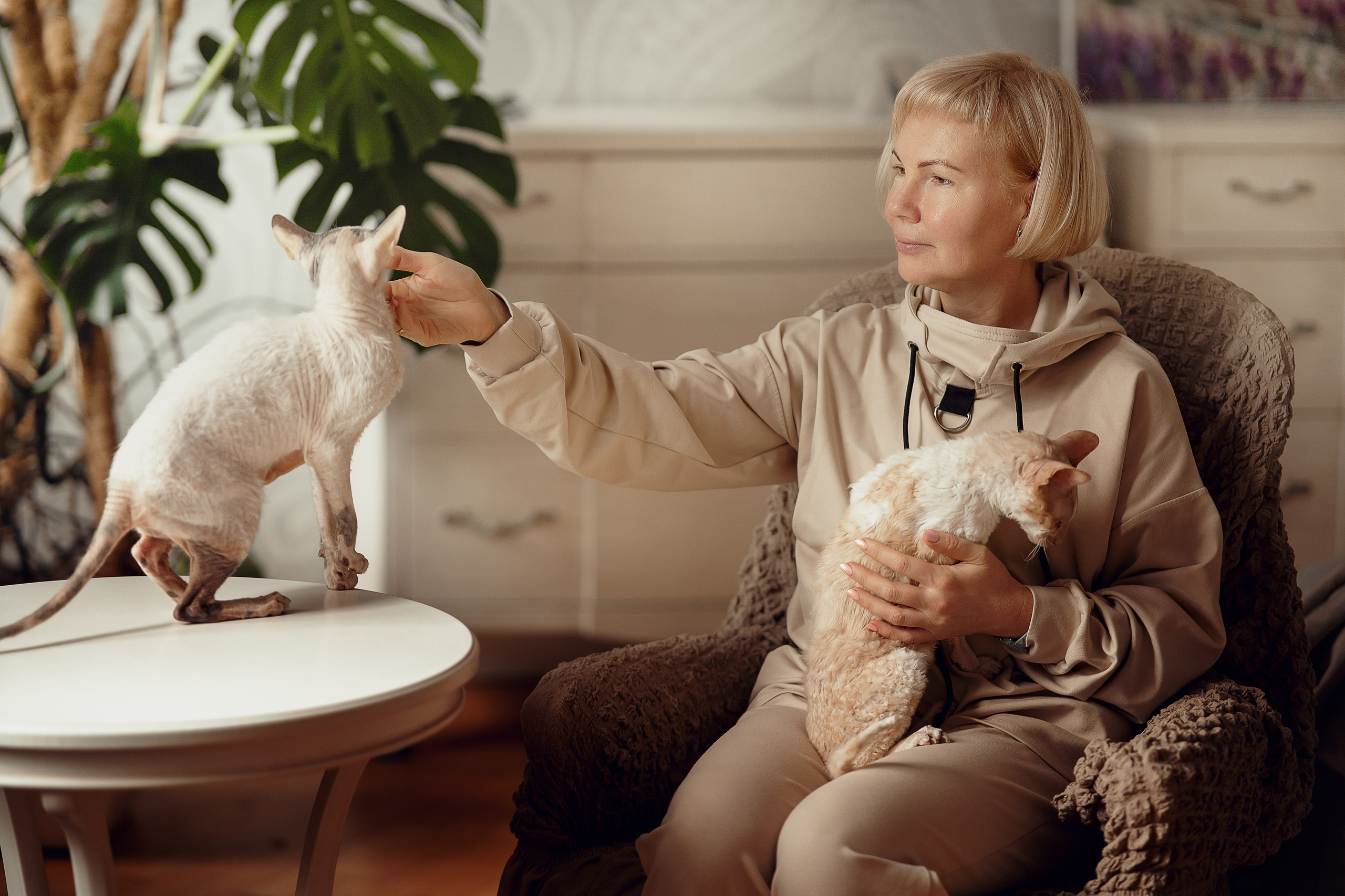 Семейная с кошками. Портретный и семейный фотограф в Санкт-Петербурге Татьяна Дубова