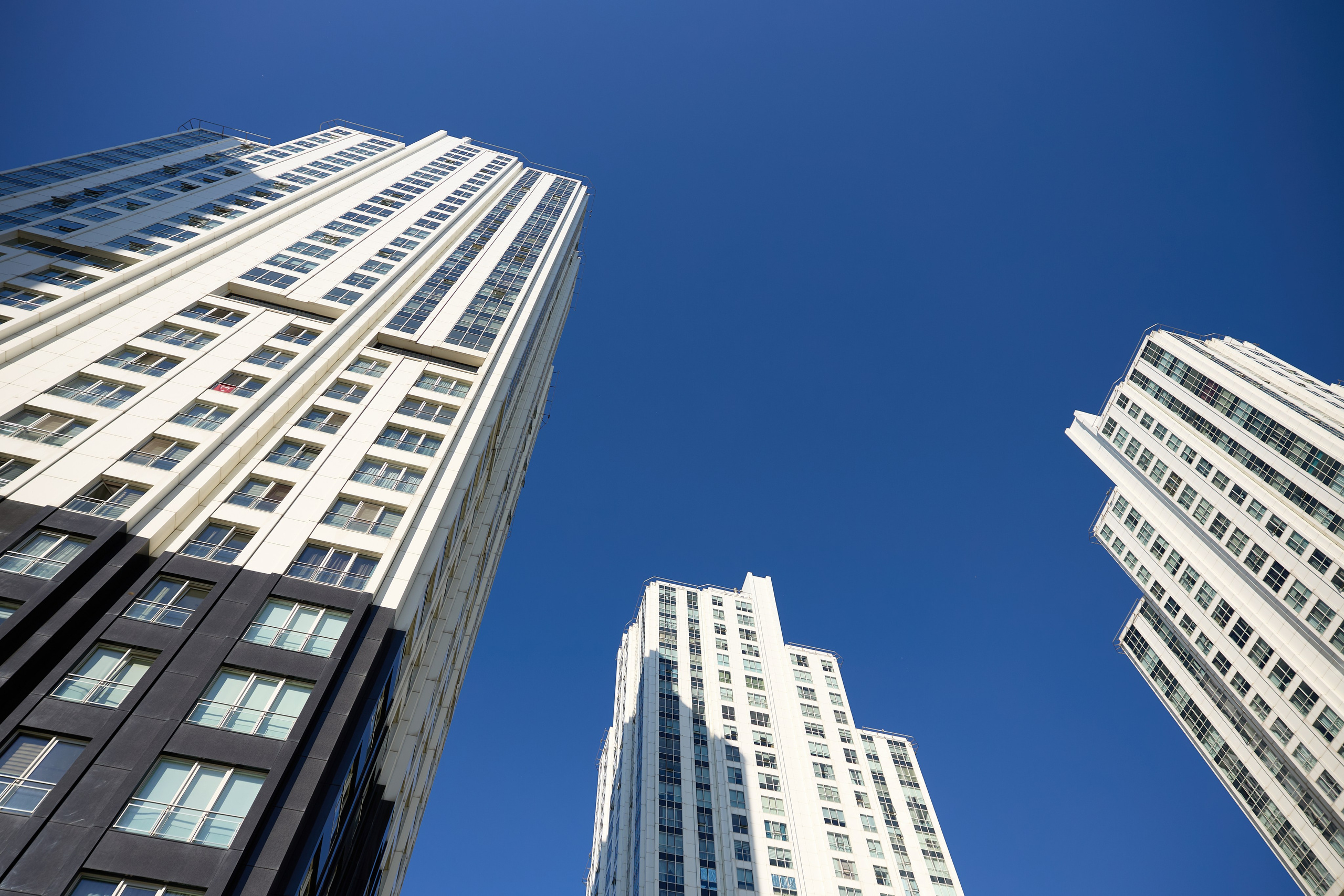 Стамбул 24. Фотограф Москва, Дима Пеллер