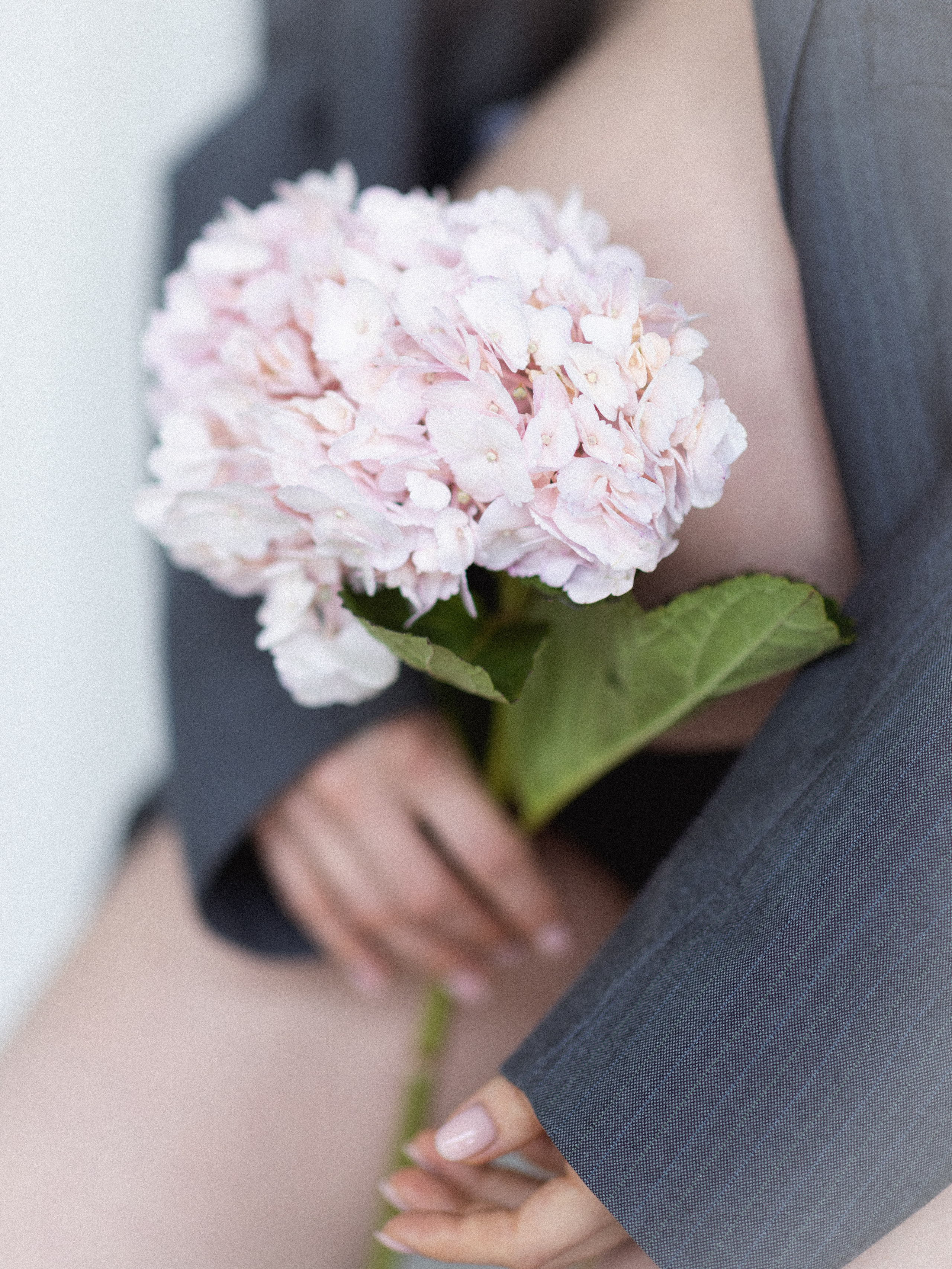 Фотосессия беременности. Фотограф Юлия Польская