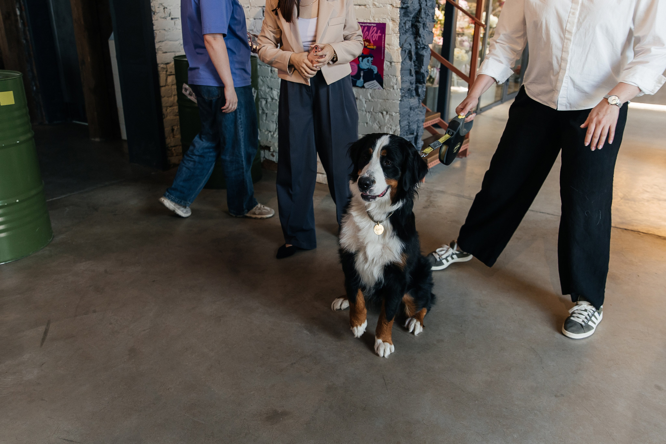 Наташа и Максим. Свадебный и семейный фотограф в Вологде Екатерина Назарина