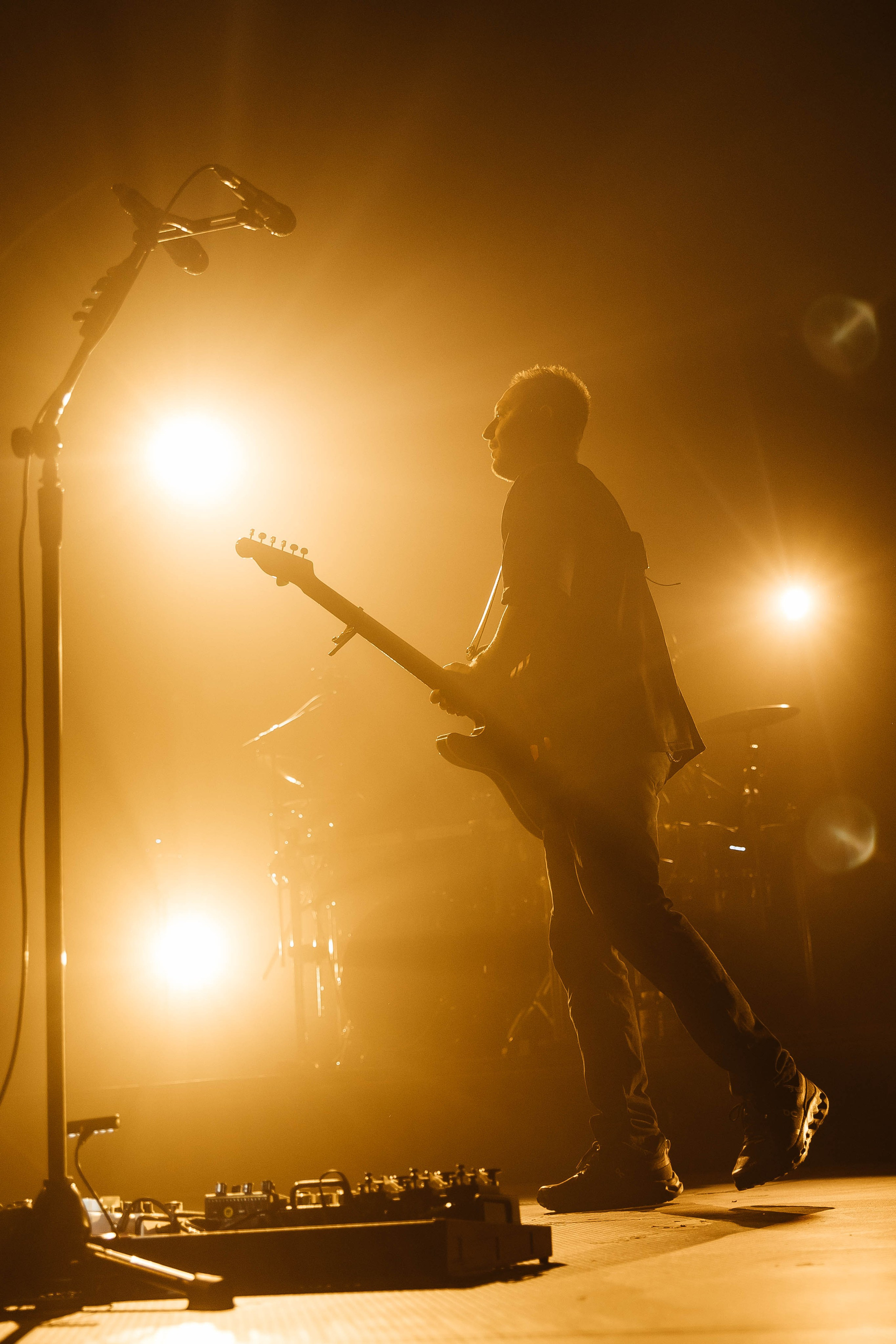 Звери. _Carpe diem_