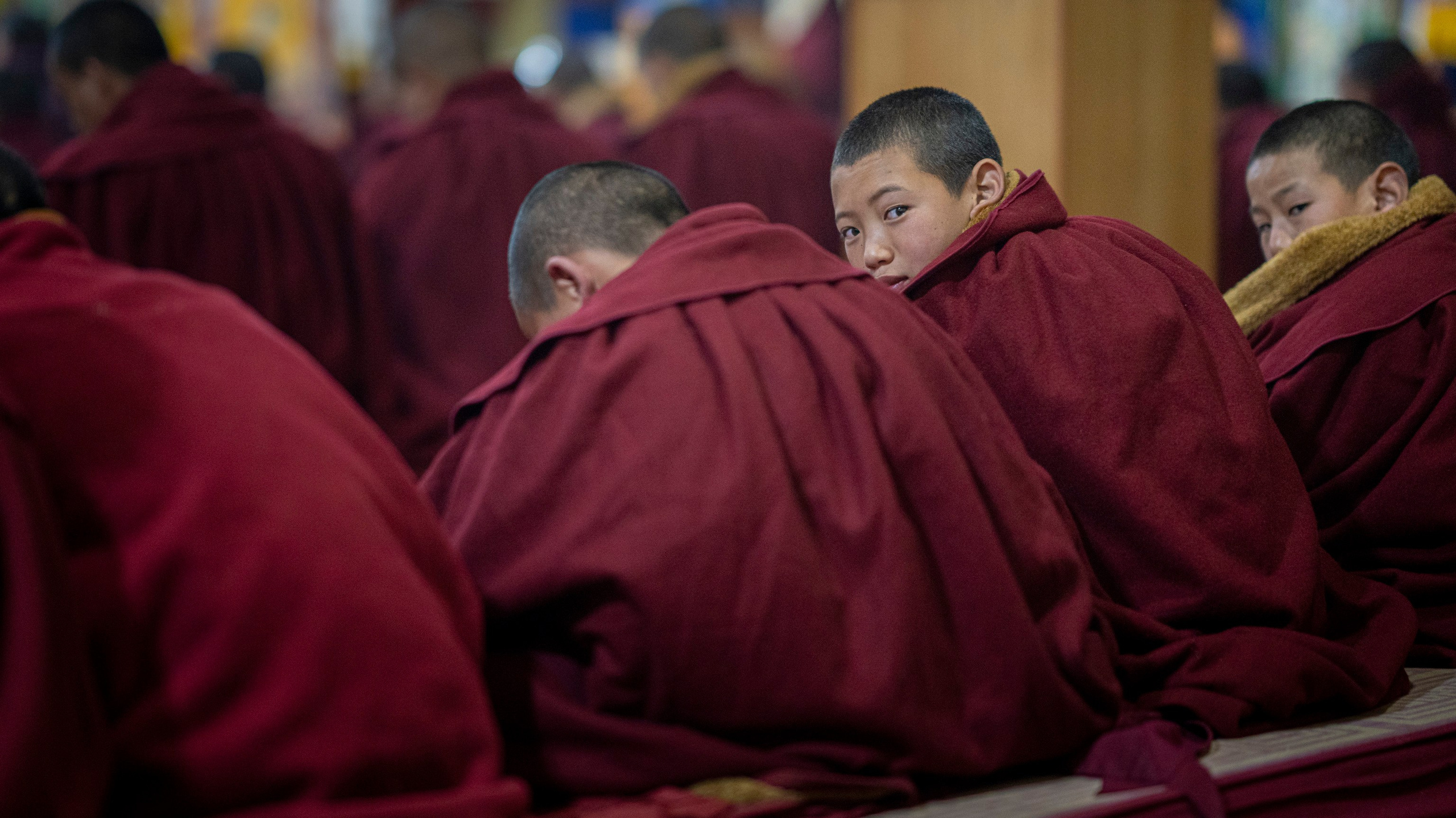 India travel. Фотограф Сергей Танков