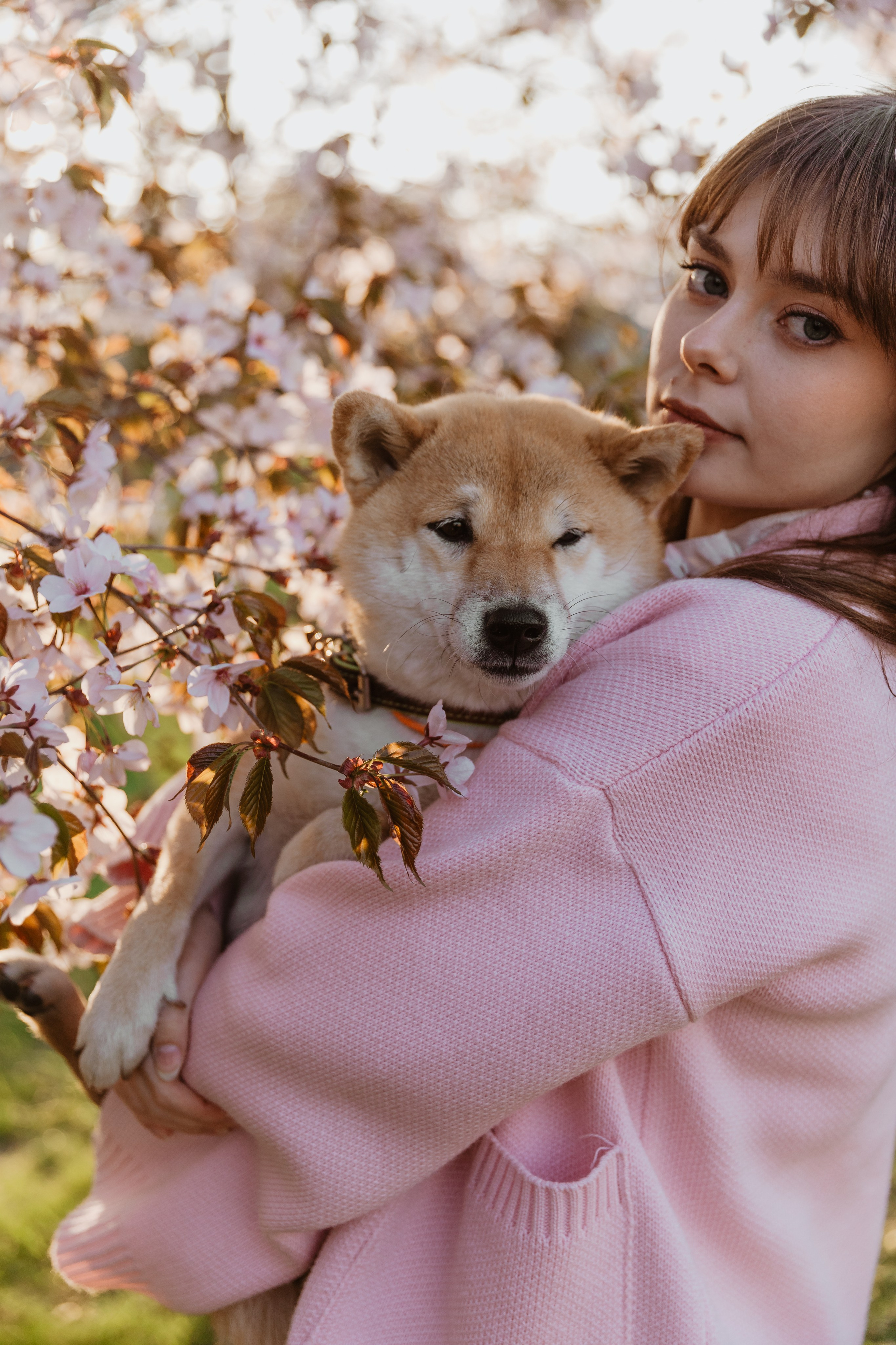 Анастасия и Тайра. Фотограф Южно-Сахалинск Сахалин Анастасия Тучина