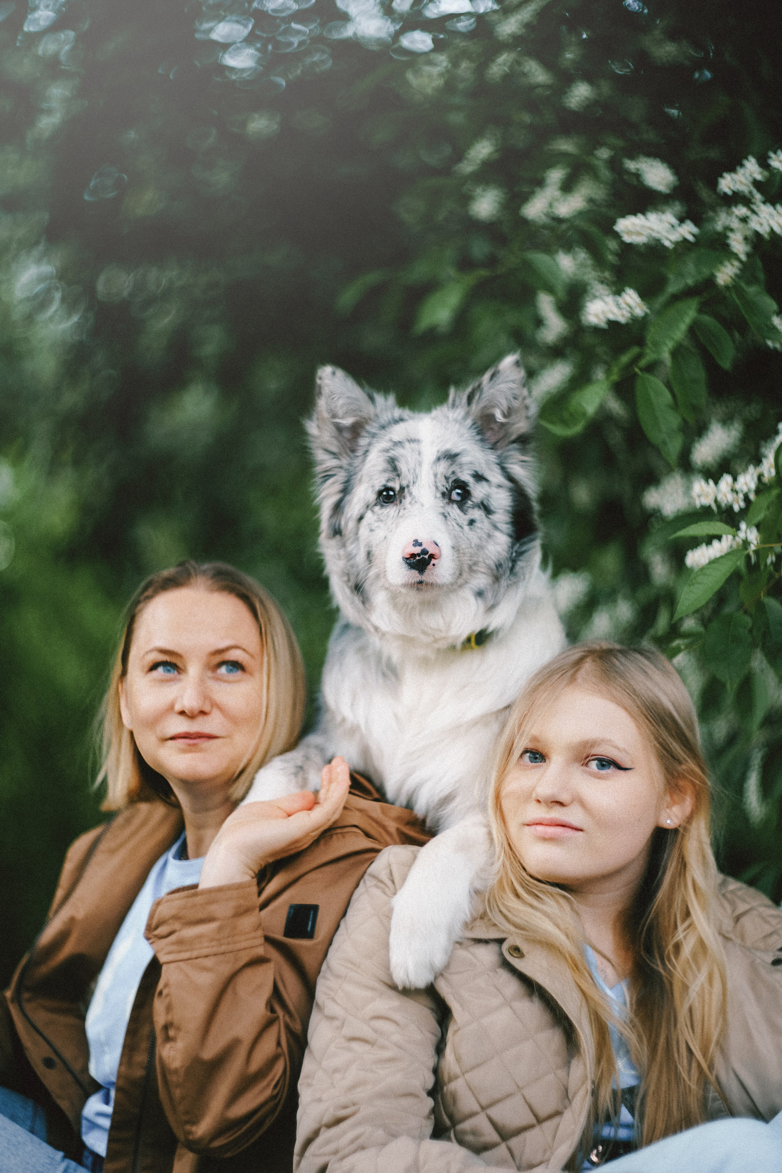 Света, Катрин и Умка. Фотограф анималист в Москве и Санкт-Петербурге Свиридова Анна
