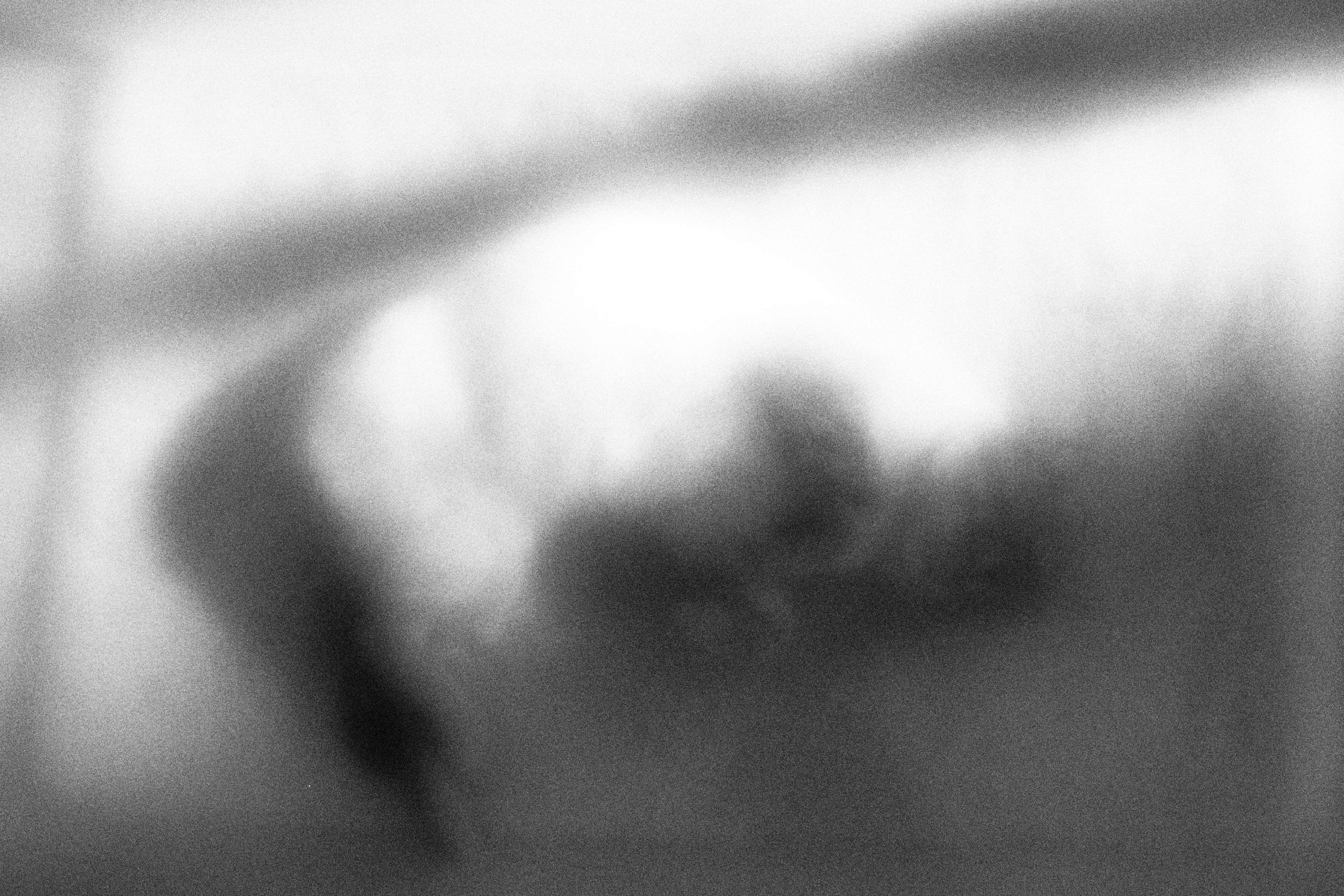 «Видеть. Чувствовать. Сохранять»